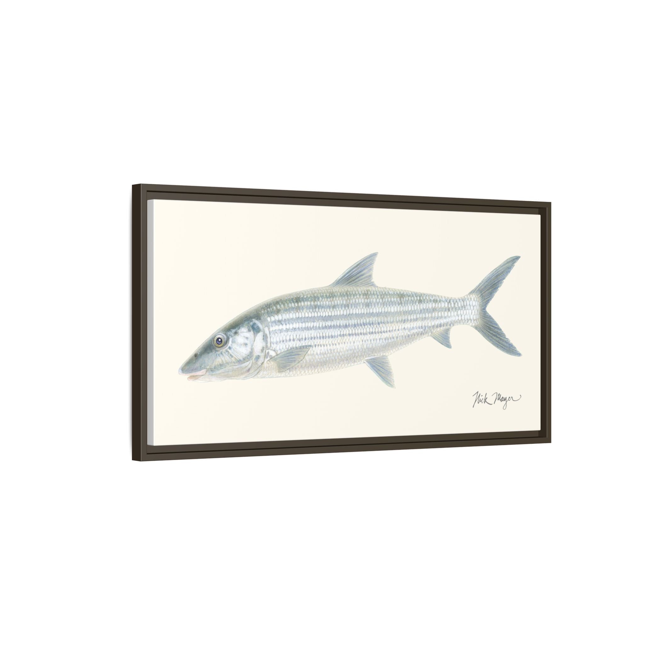 Bonefish Framed Canvas Print Printify