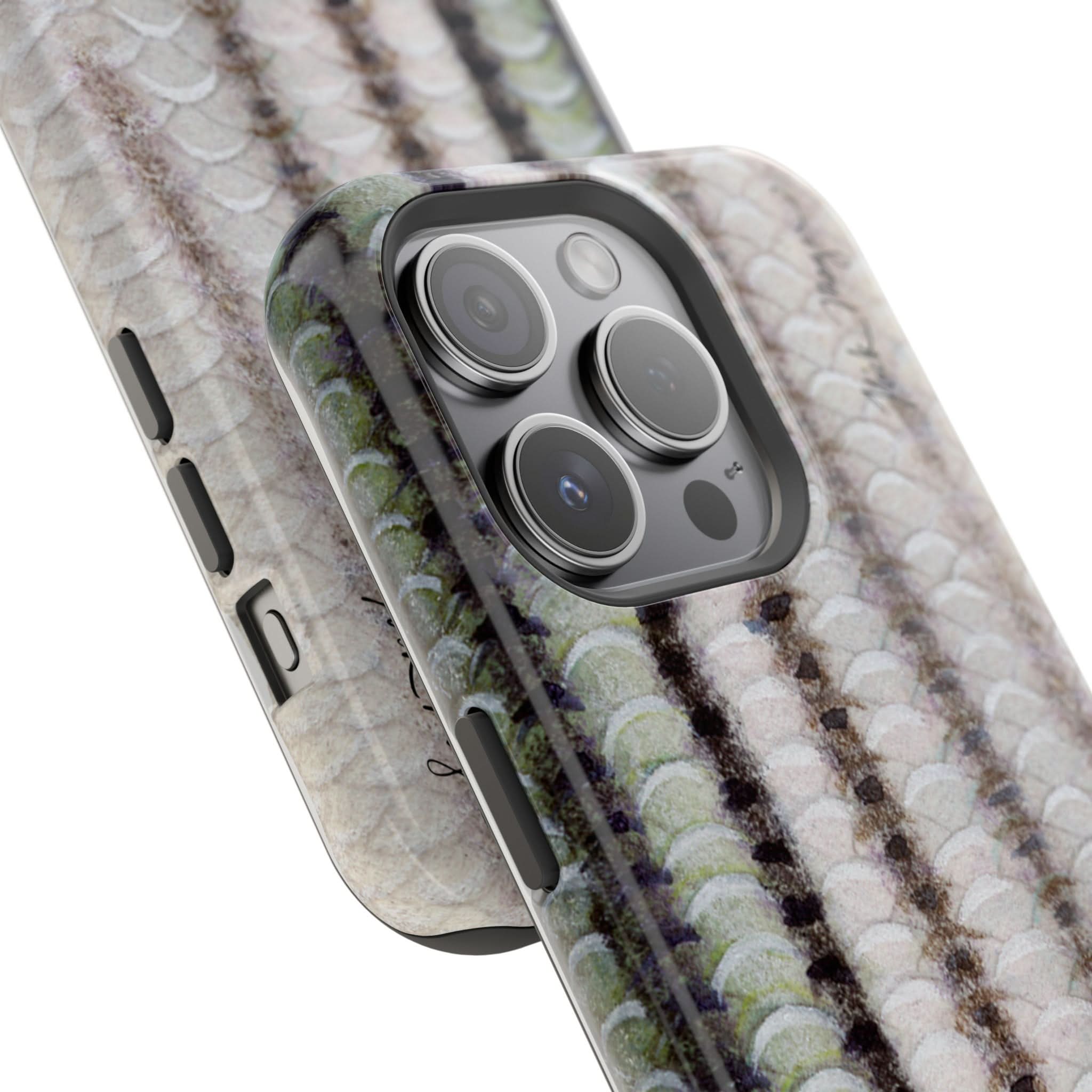 Striper Skin MagSafe iPhone Case