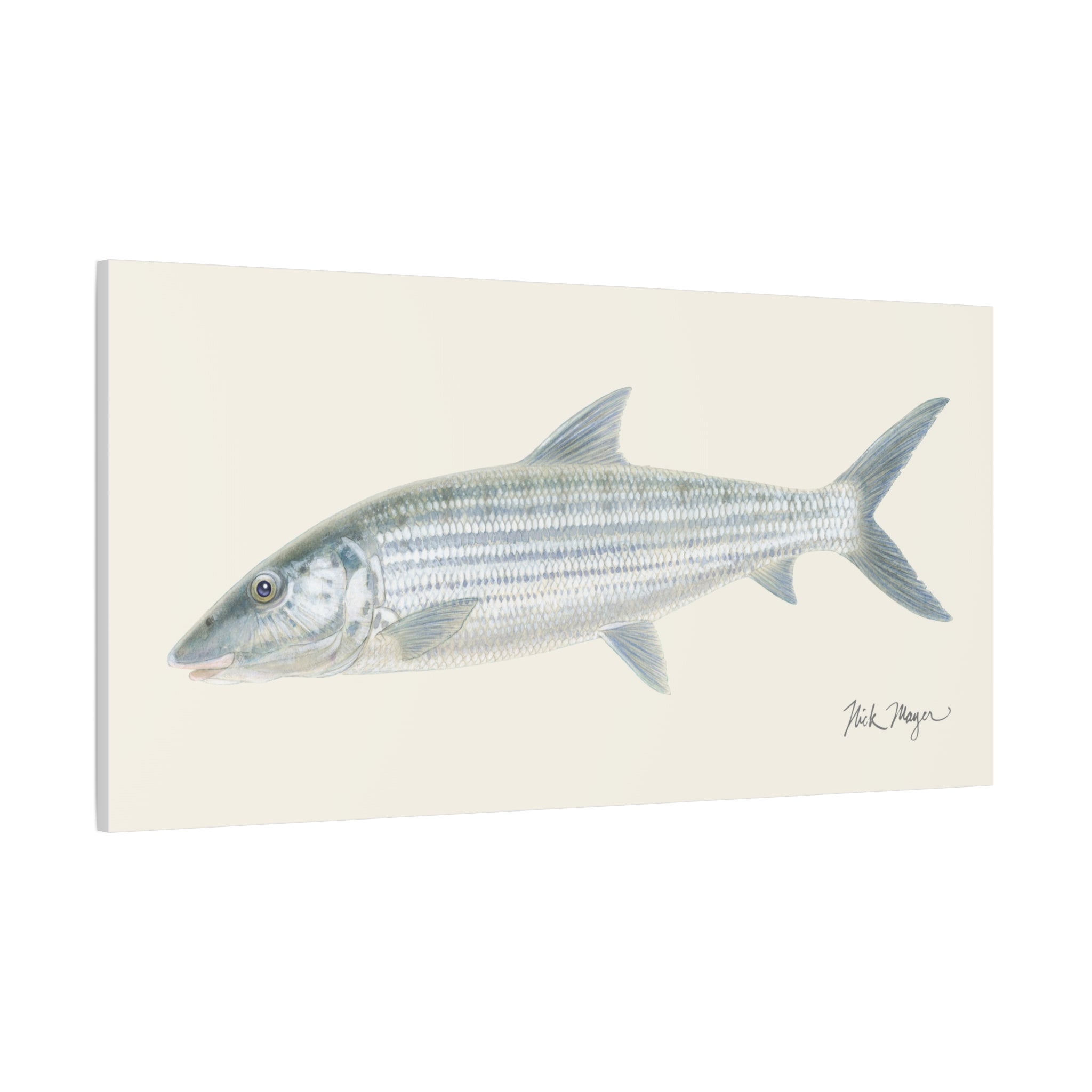 Bonefish Canvas Print
