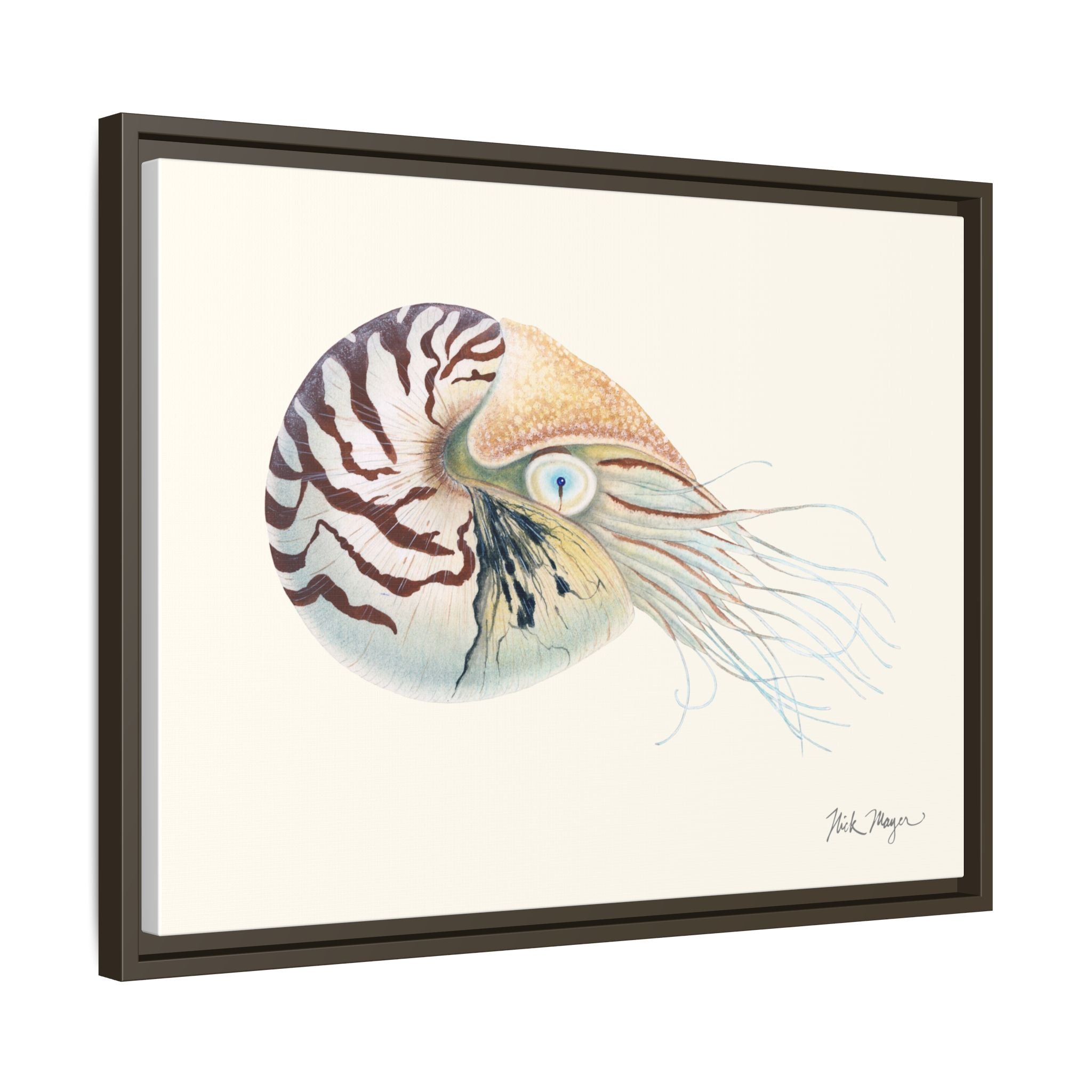 Chambered Nautilus Framed Canvas Print Printify