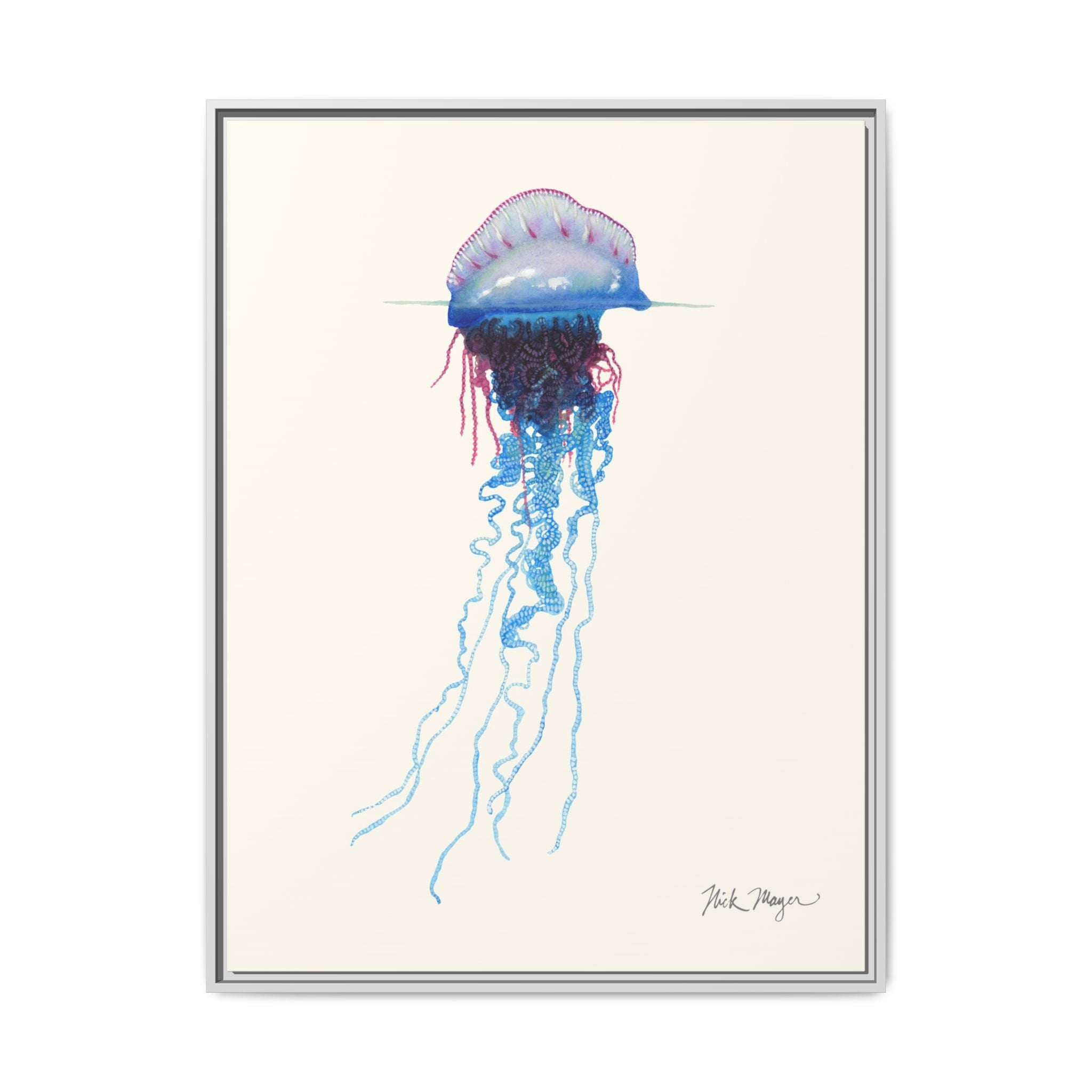 Portuguese Man O' War Framed Canvas Print Printify