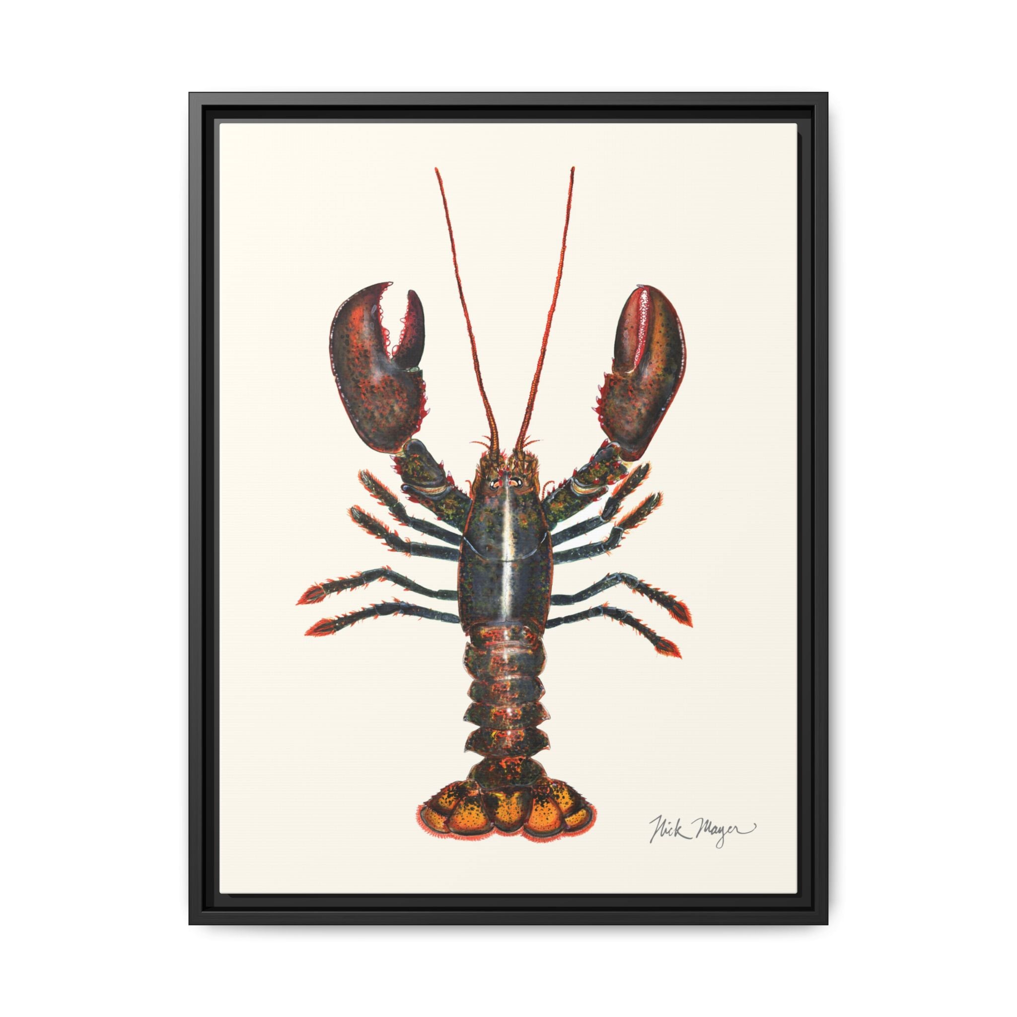 Northern Lobster Framed Canvas Print Printify