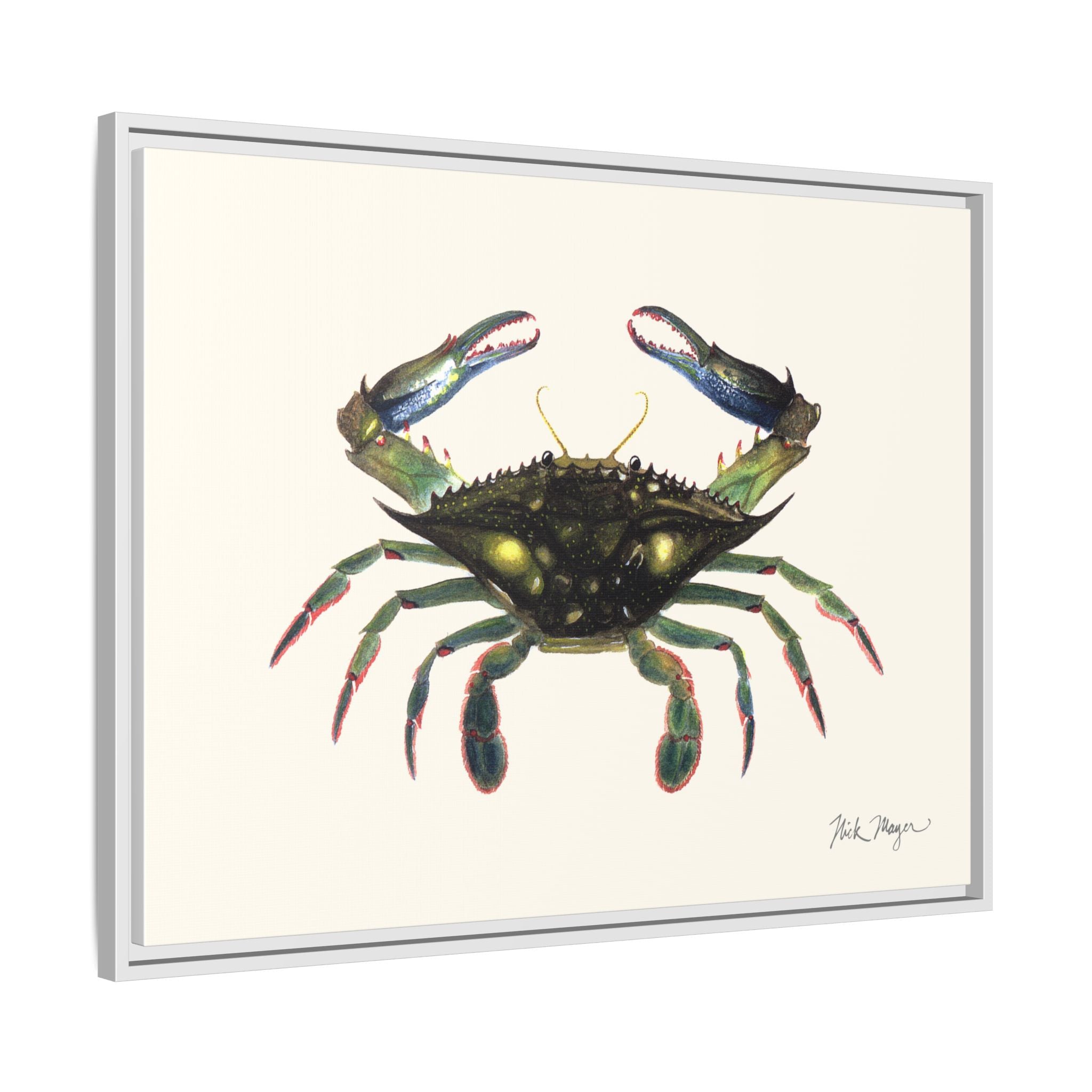 Blue Crab, Claws in Framed Canvas Print Printify
