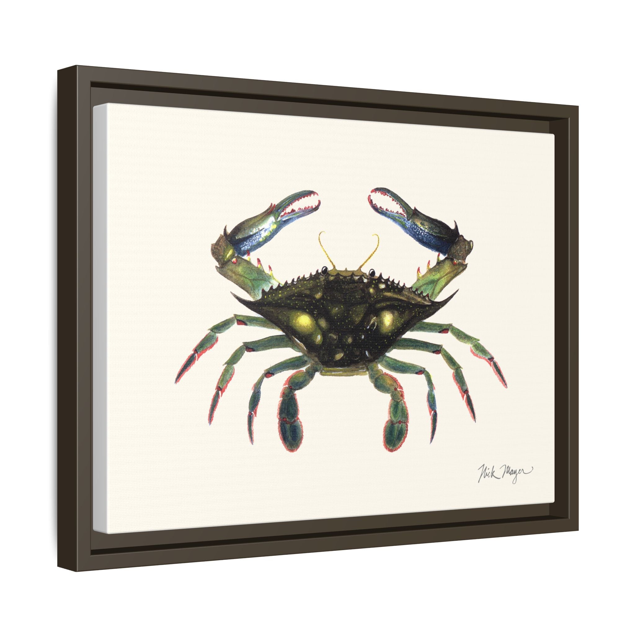 Blue Crab, Claws in Framed Canvas Print Printify
