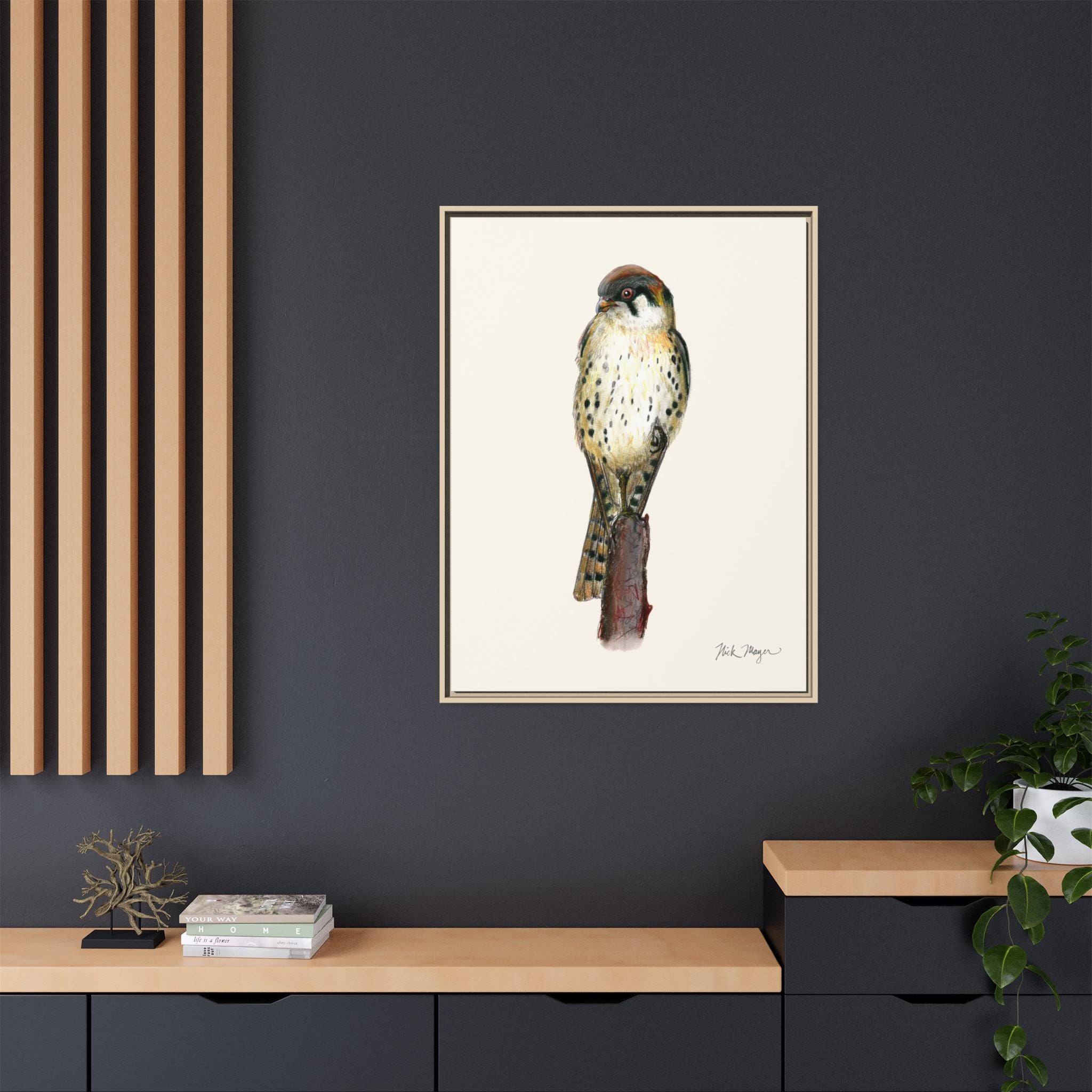 American Kestrel Framed Canvas Print Printify