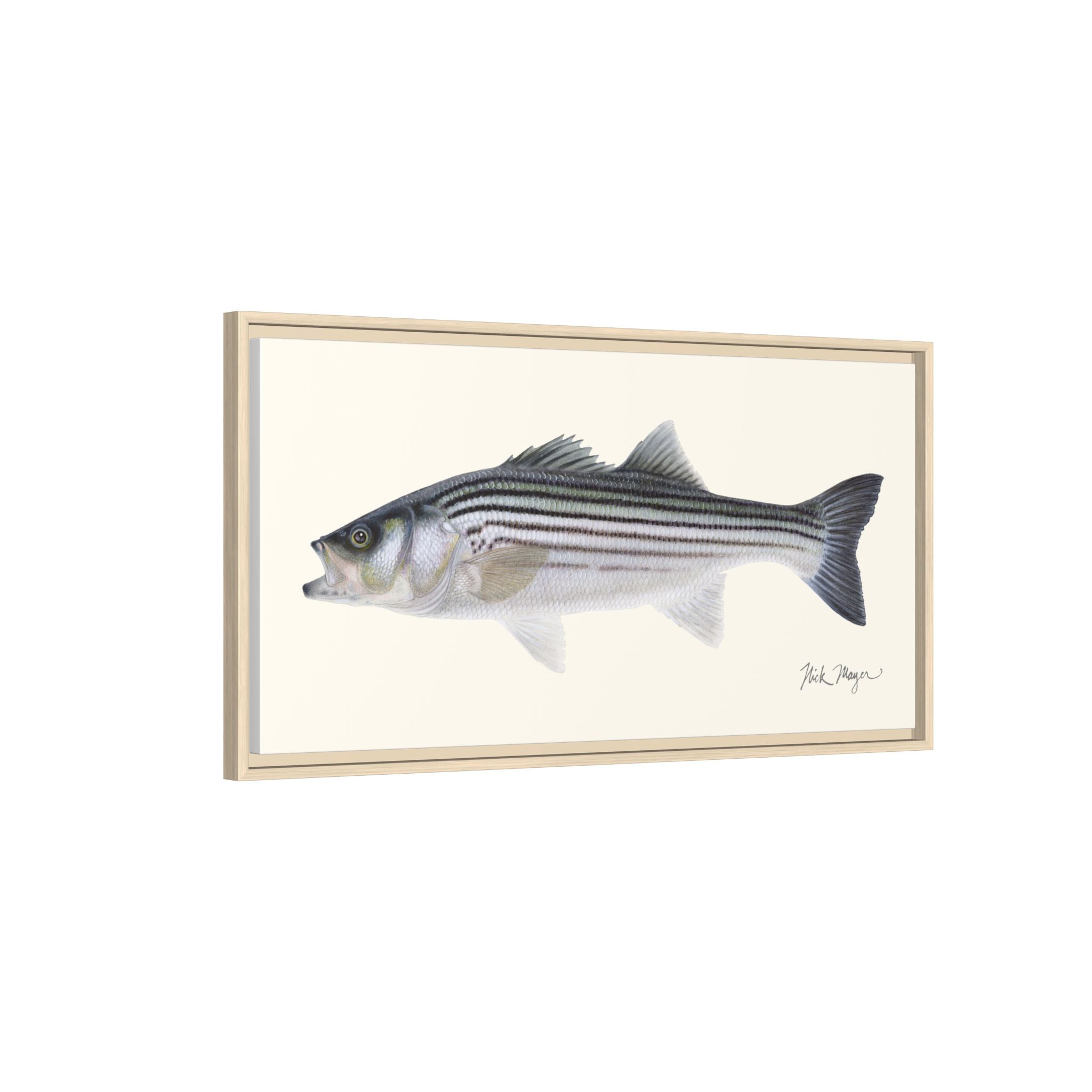 Schoolie Striped Bass Framed Canvas Print Printify