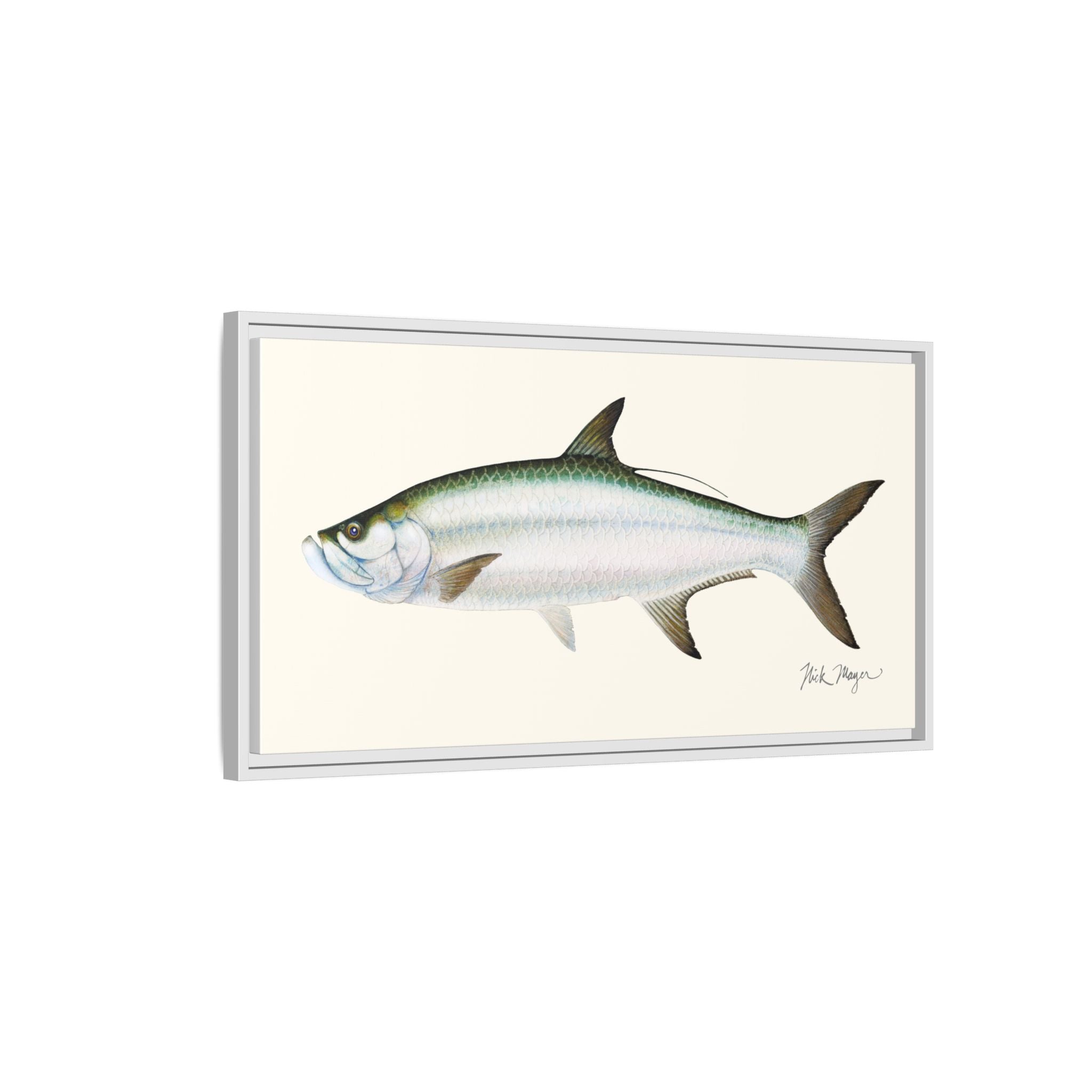 Tarpon Framed Canvas Print Printify