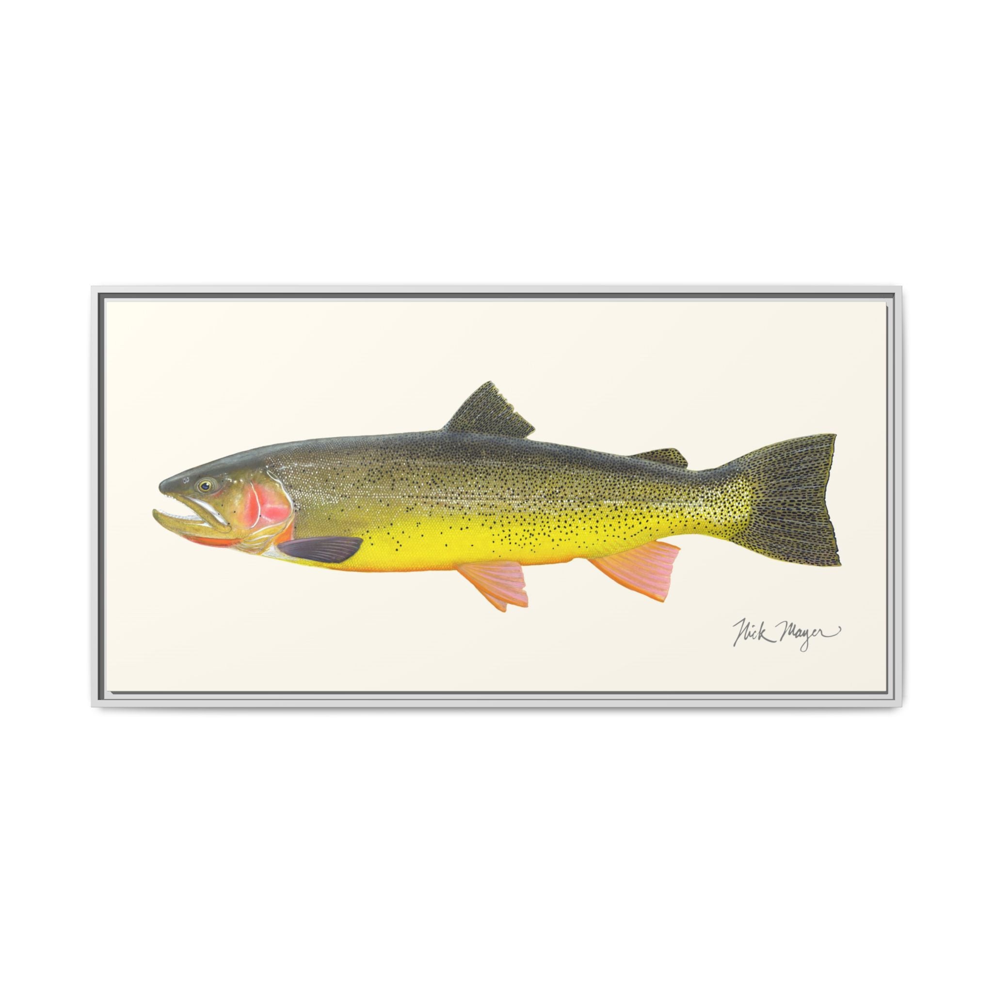 Cutthroat Trout III Framed Canvas Print Printify