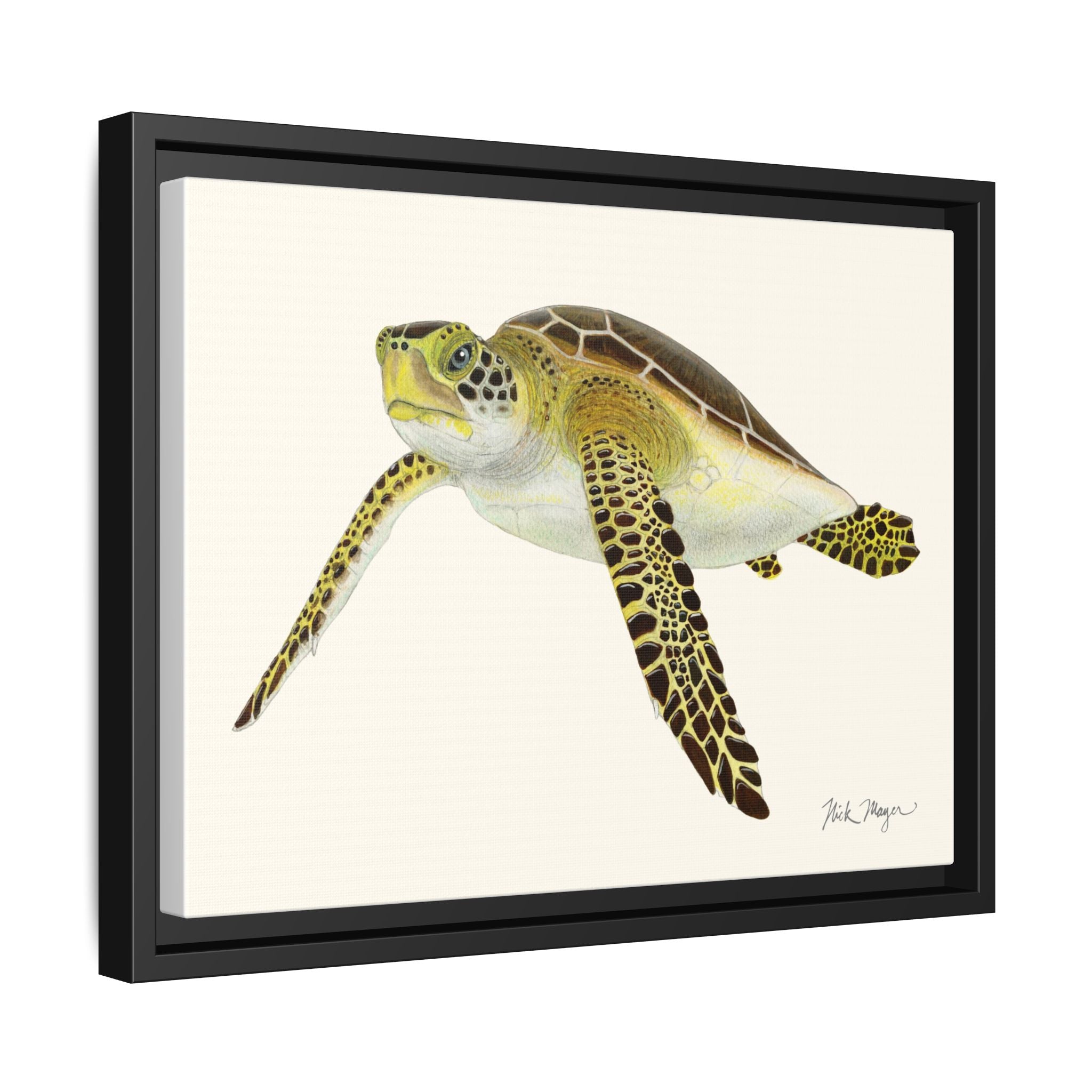 Green Sea Turtle III Framed Canvas Print Printify