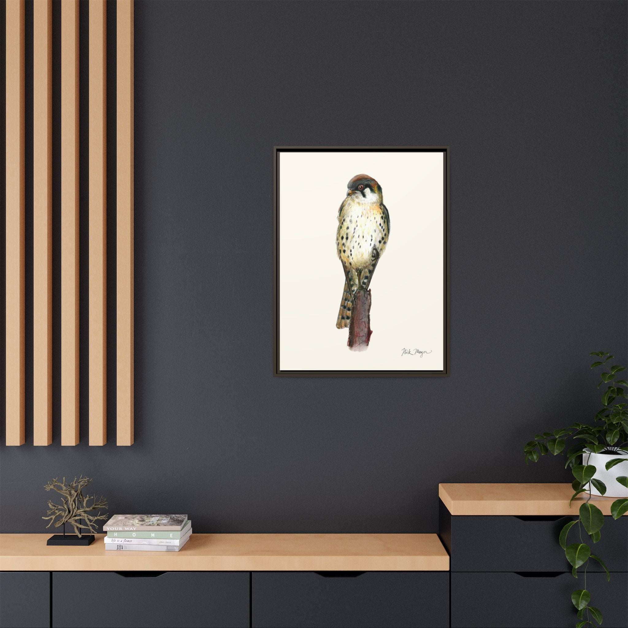 American Kestrel Framed Canvas Print Printify
