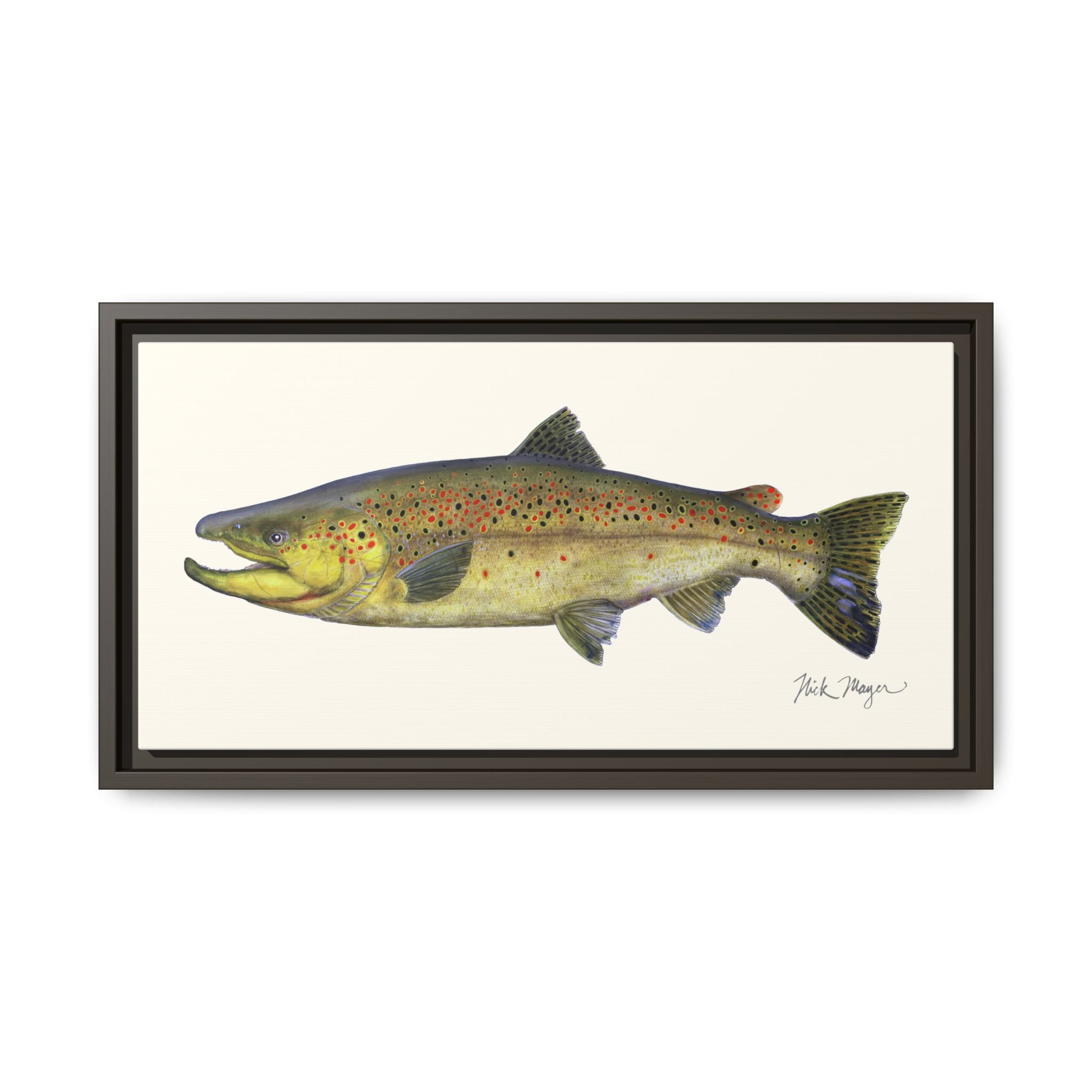 Brown Trout I Framed Canvas Print Printify