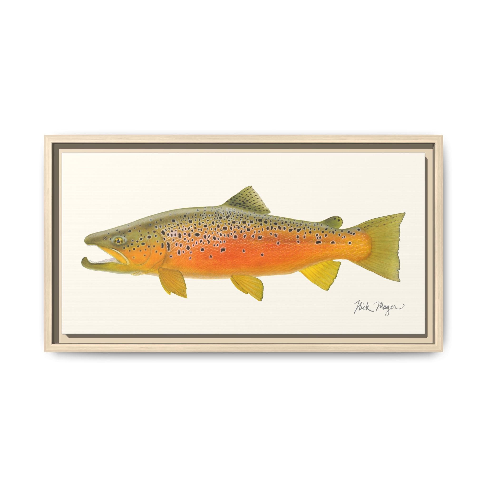 Brown Trout II Framed Canvas Print Printify