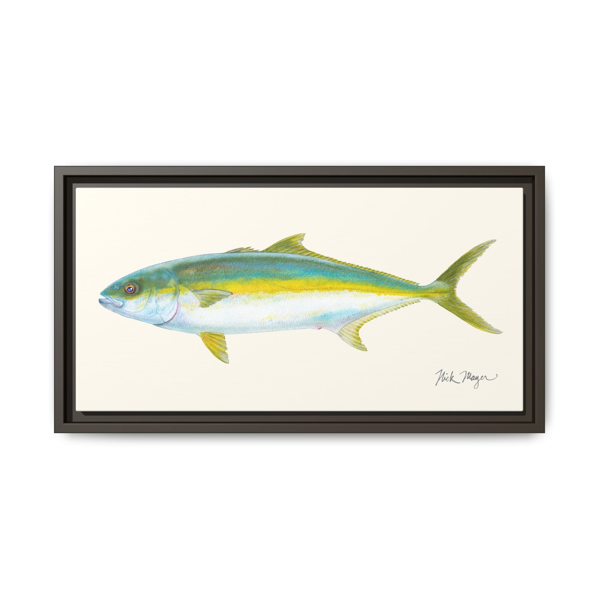 California Yellowtail I Framed Canvas Print Printify