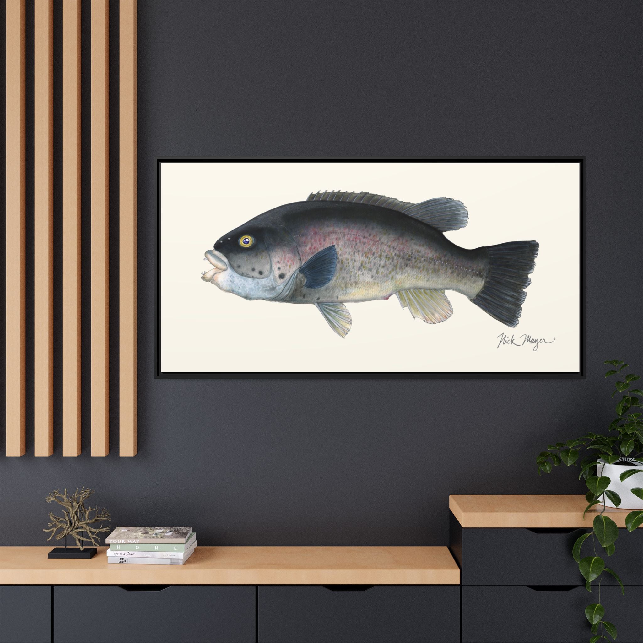 Tautog / Blackfish Framed Canvas Print Printify