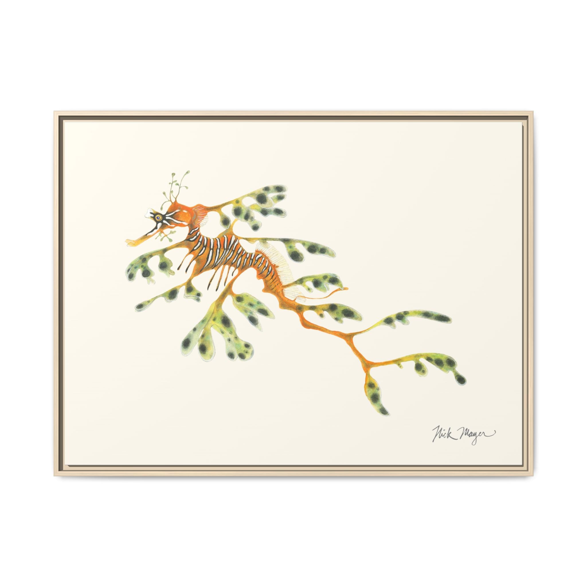 Leafy Sea Dragon Framed Canvas Print Printify