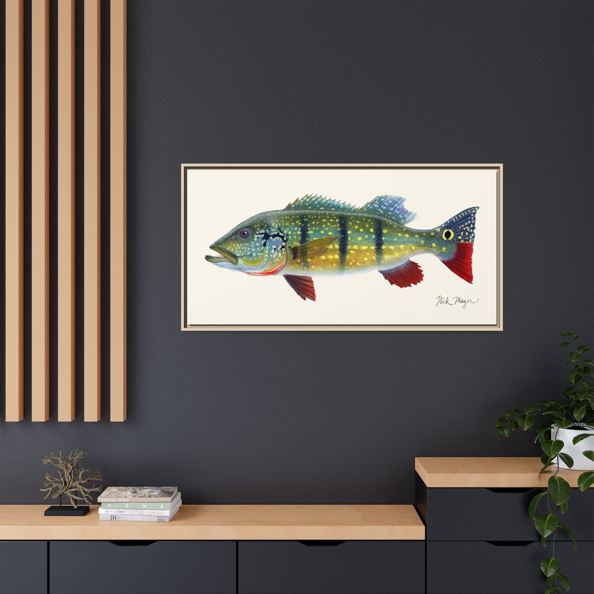 Peacock Bass Framed Canvas Print Printify