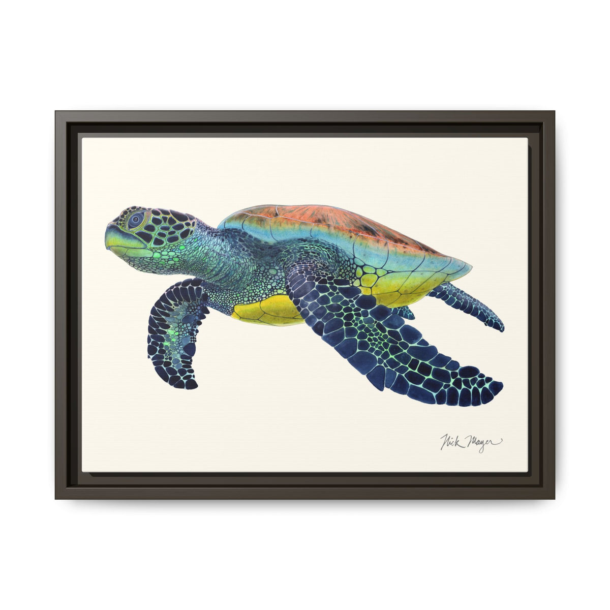 Green Sea Turtle II Framed Canvas Print Printify