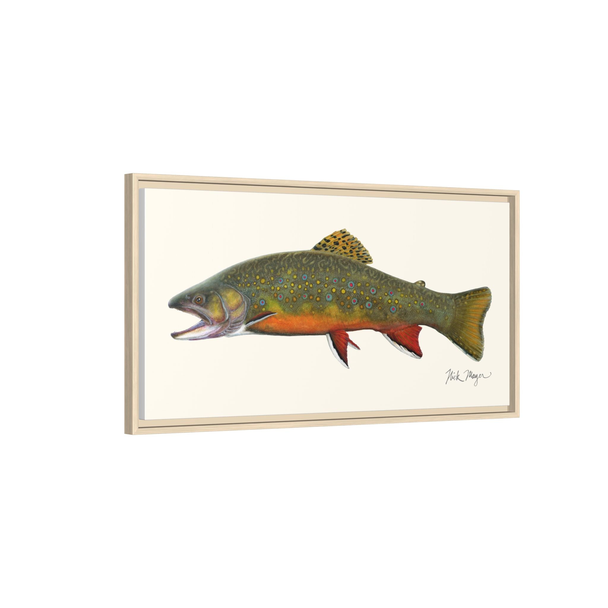 Beaver Pond Brook Trout Framed Canvas Print Printify