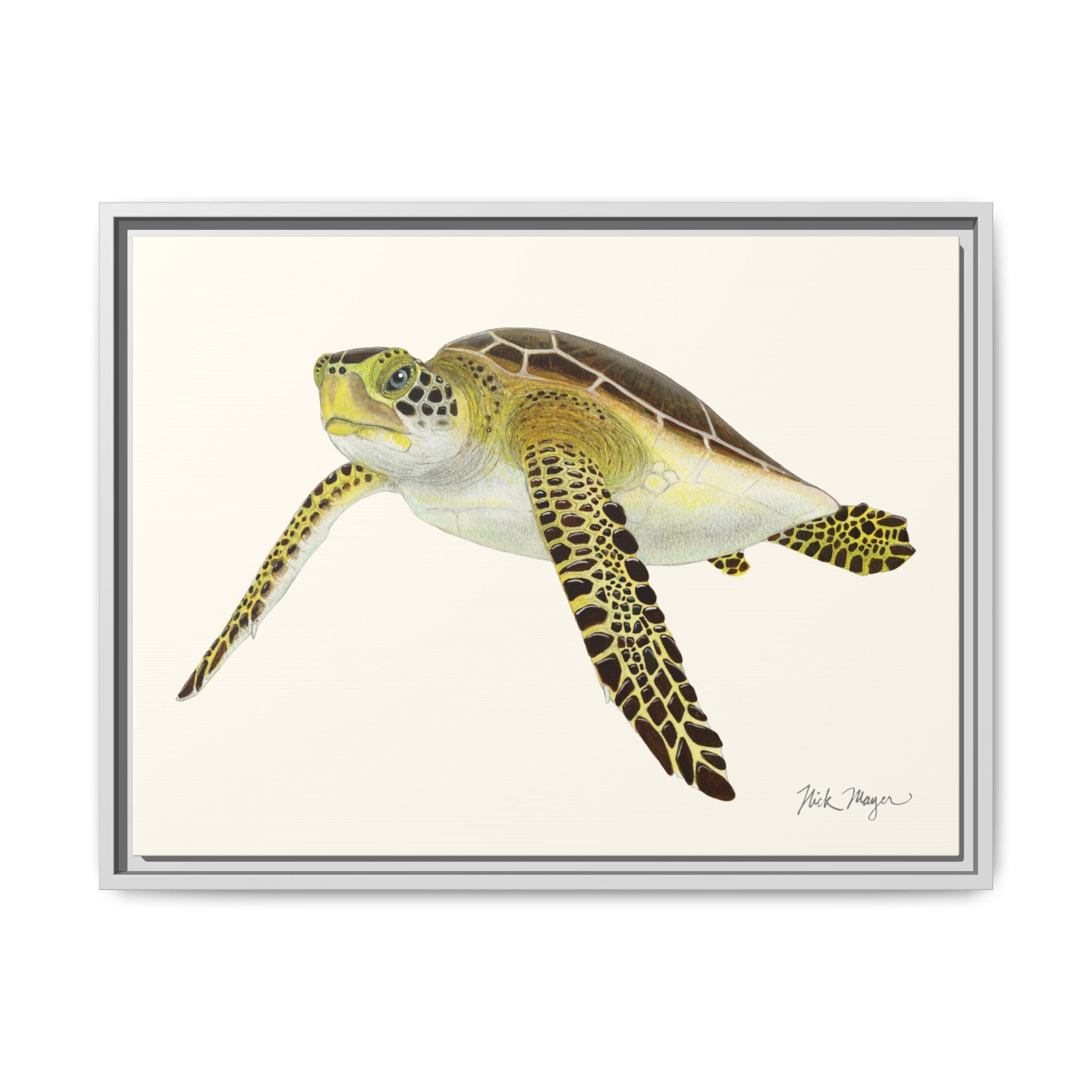 Green Sea Turtle III Framed Canvas Print Printify