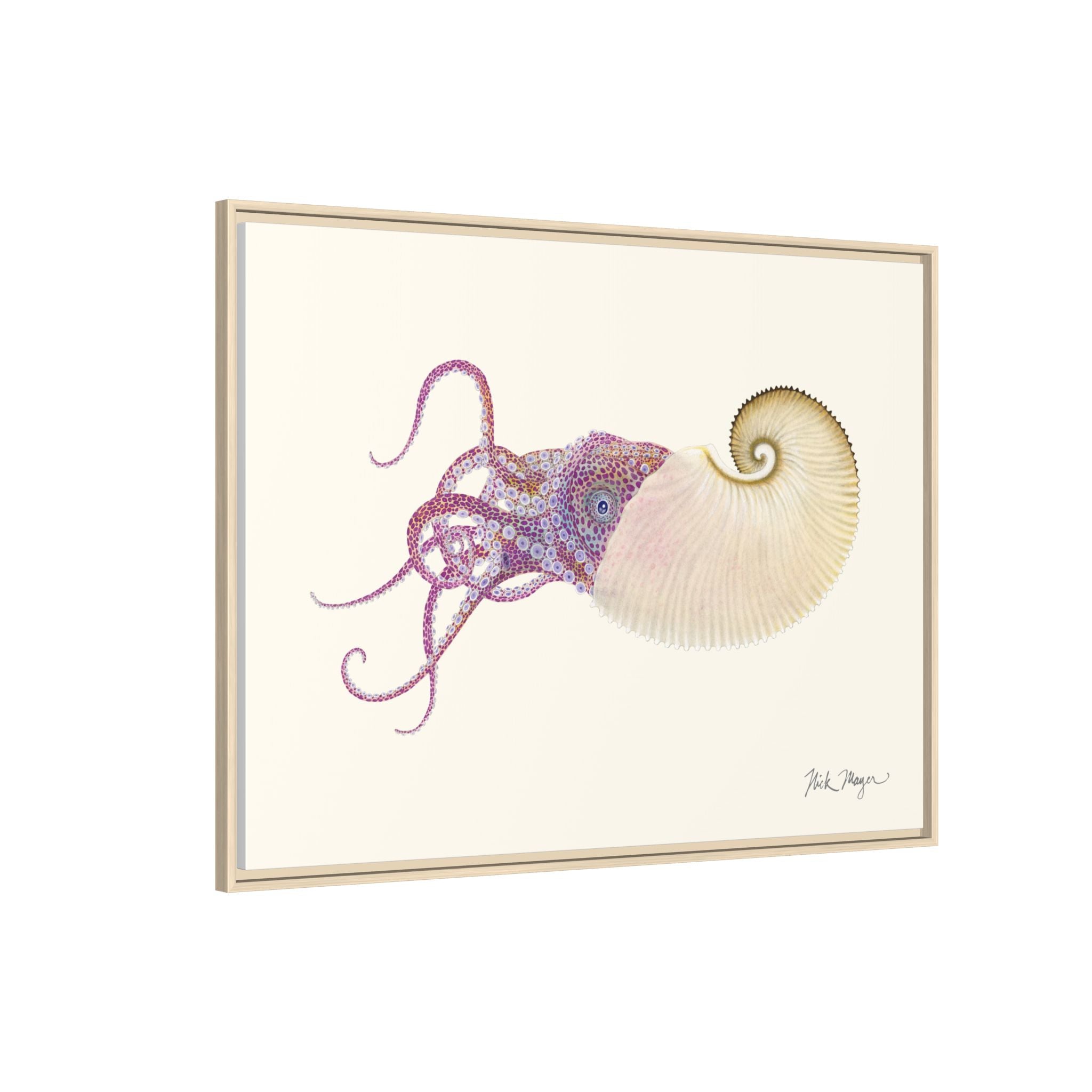 Paper Nautilus Framed Canvas Print Printify