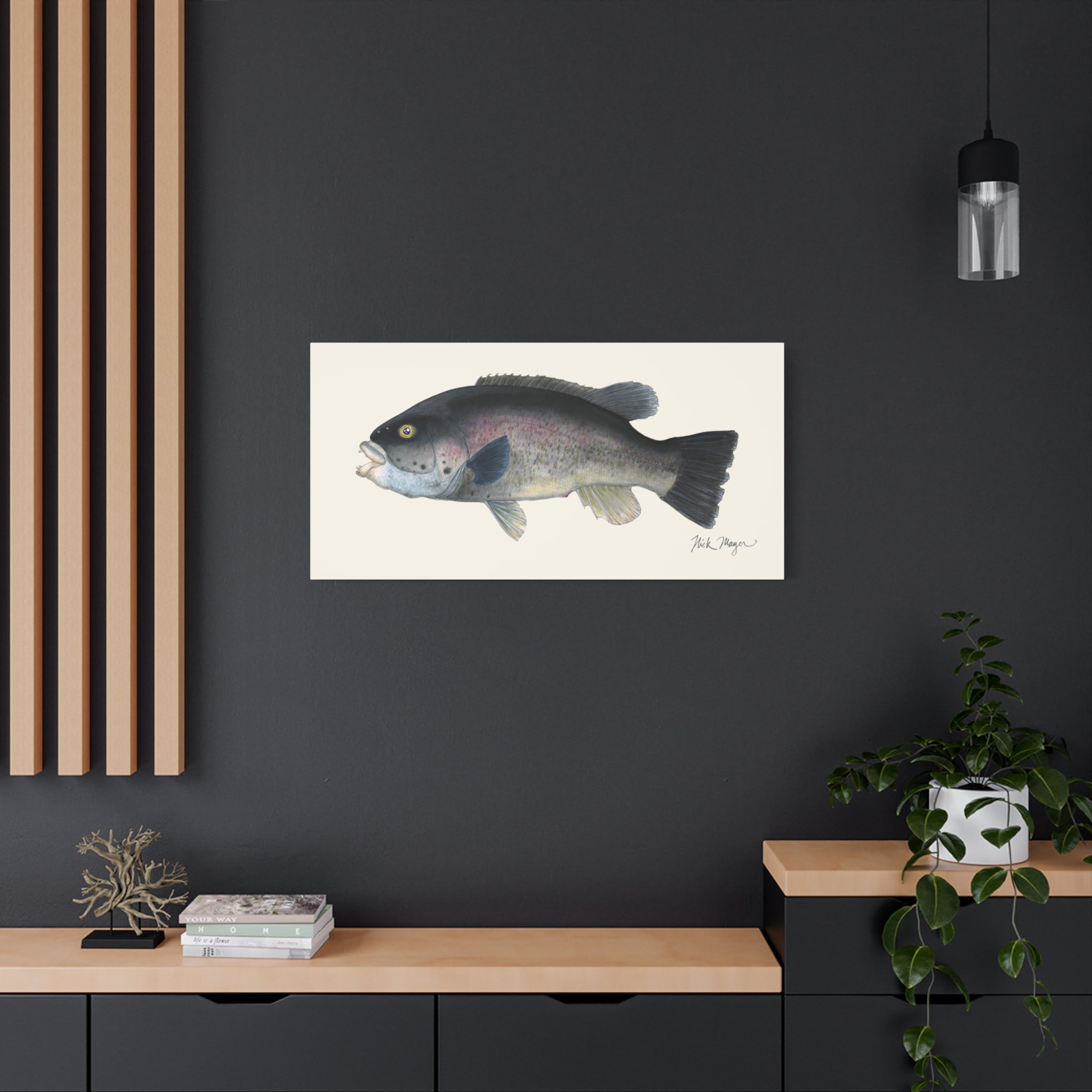 Tautog Canvas Print