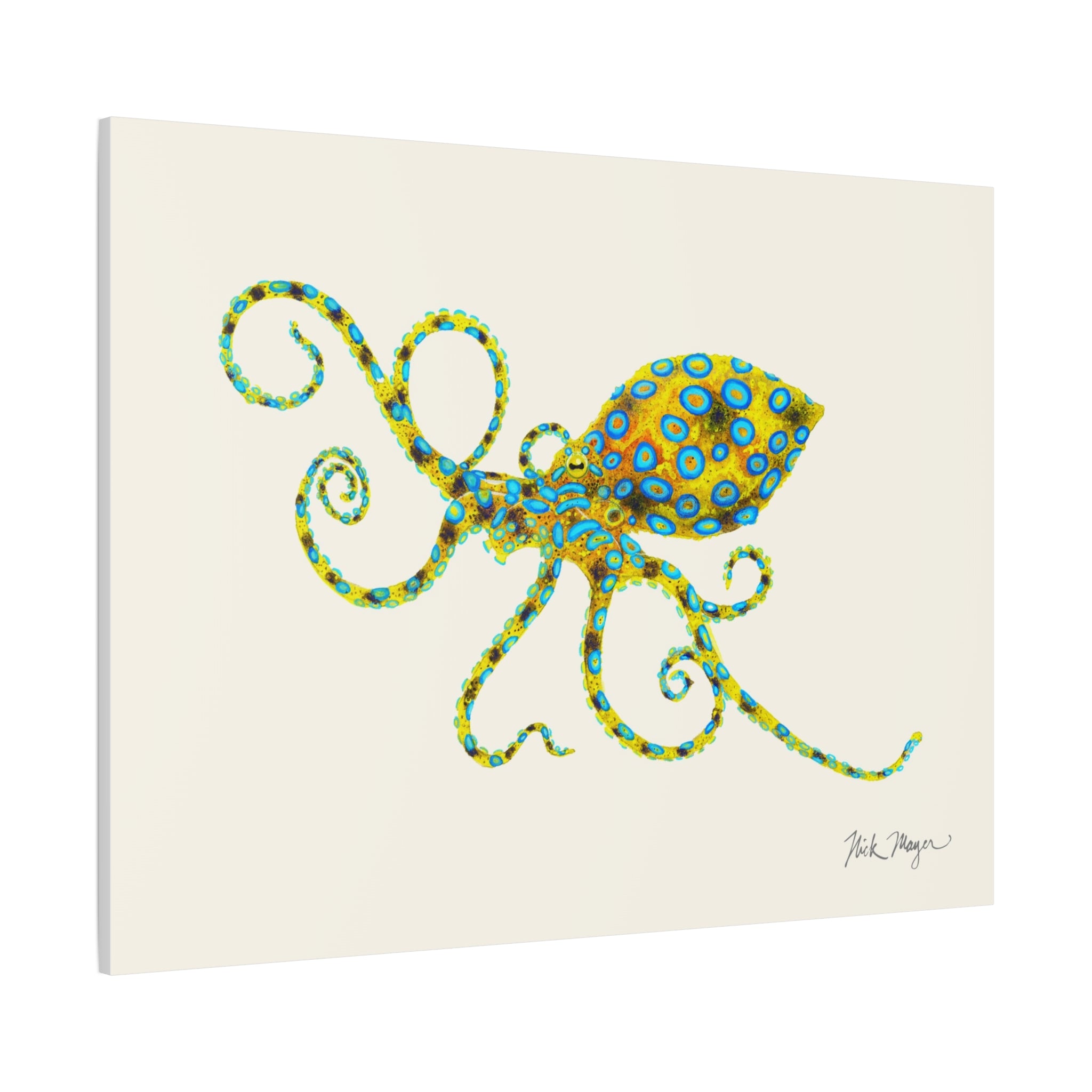 Blue Ringed Octopus Canvas Print