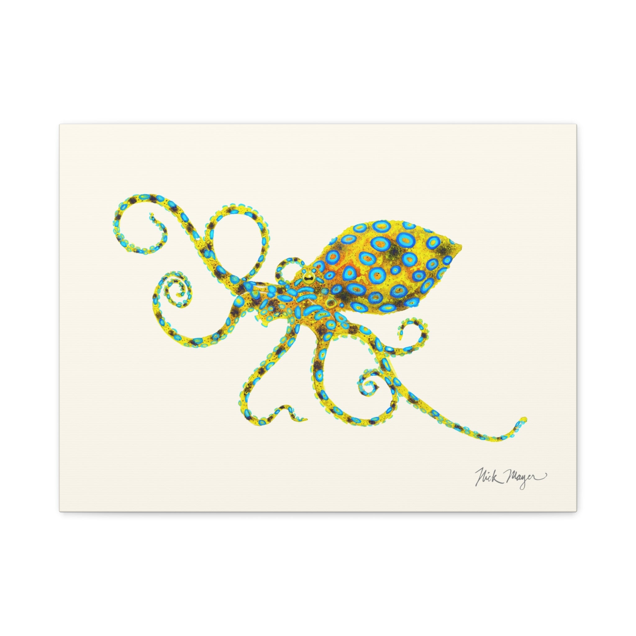 Blue Ringed Octopus Canvas Print