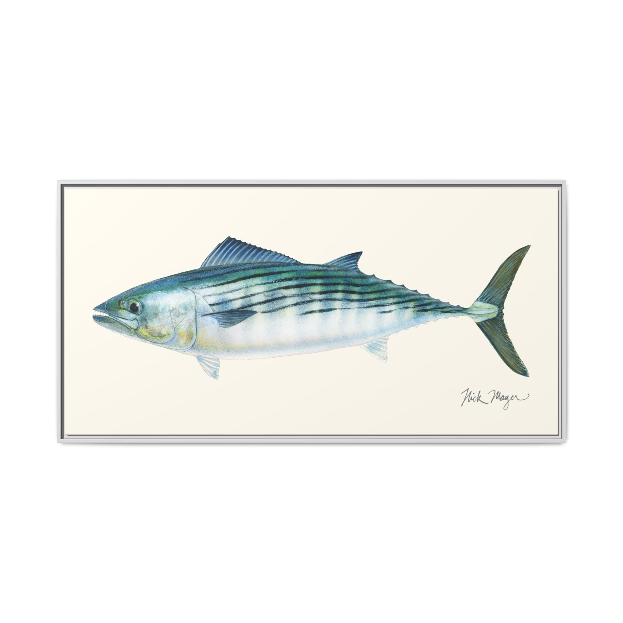 Bonito Framed Canvas Print Printify