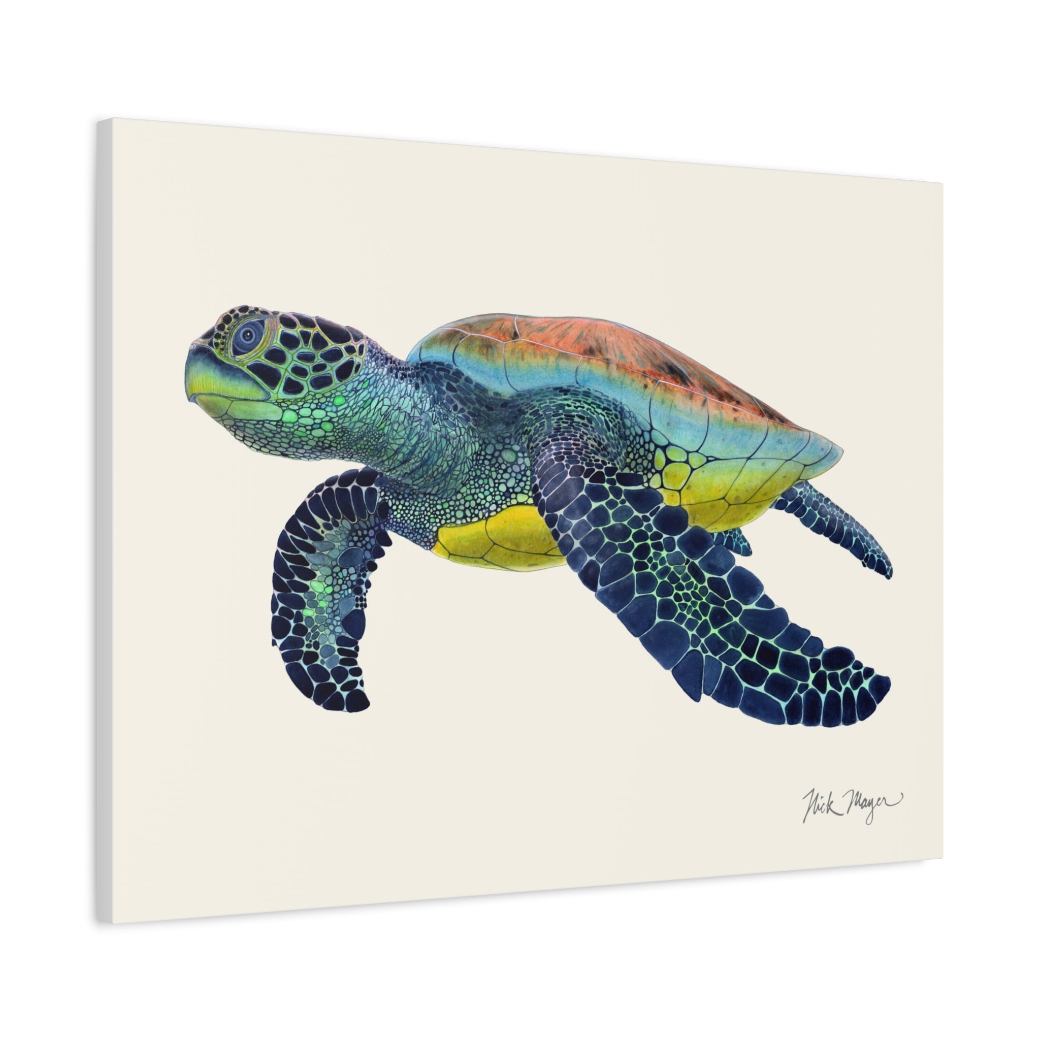 Green Sea Turtle II Canvas Print