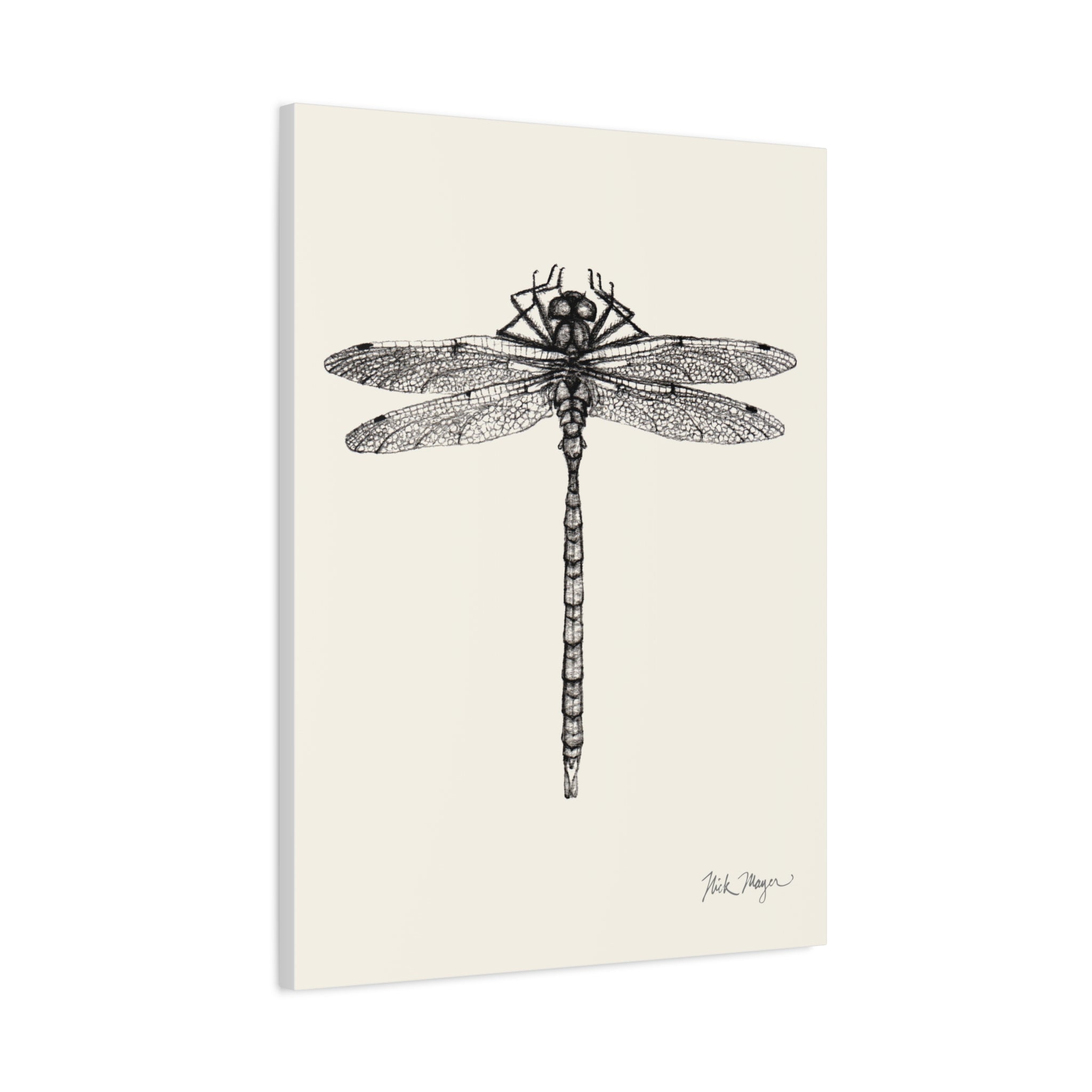 Dragonfly Canvas Print Printify