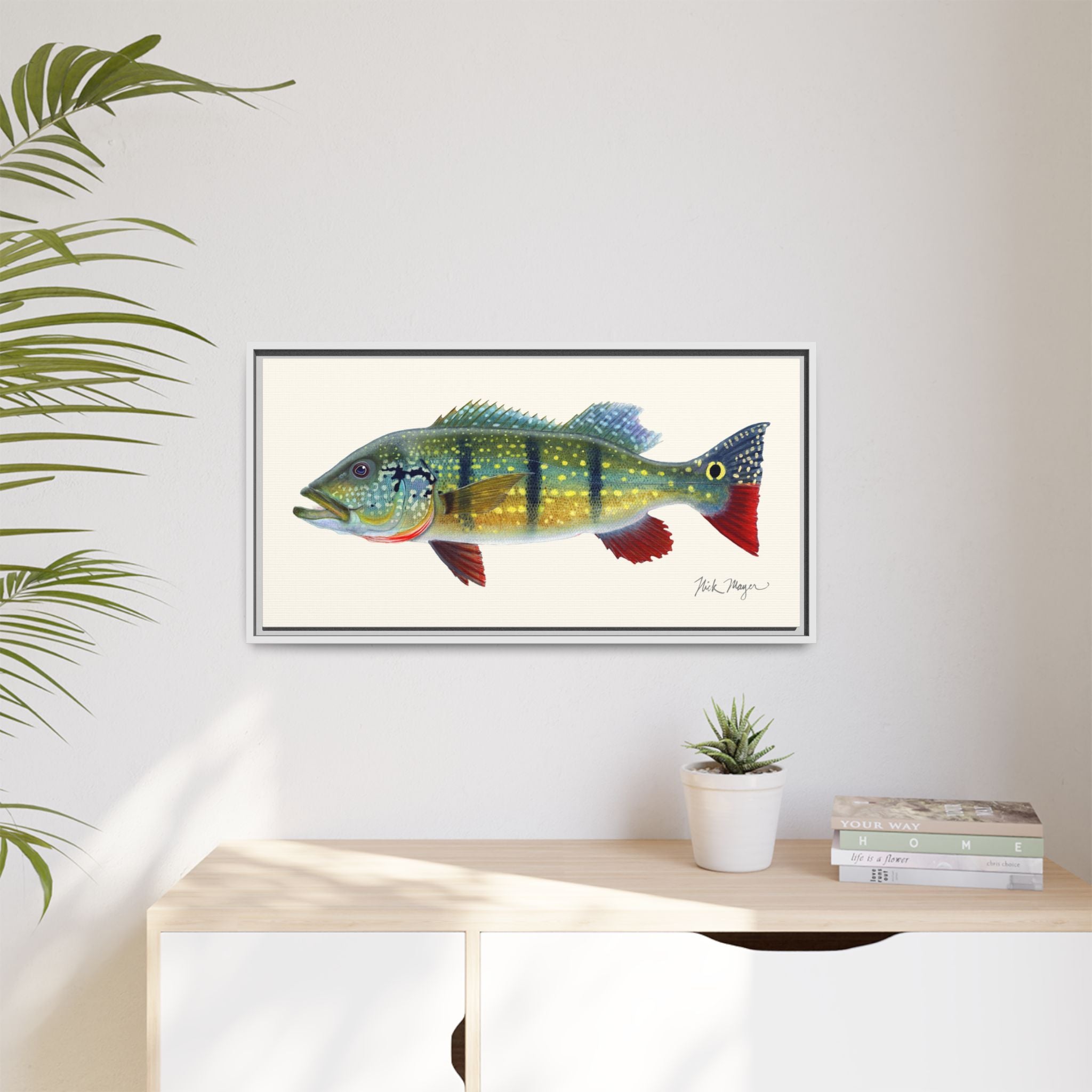 Peacock Bass Framed Canvas Print Printify