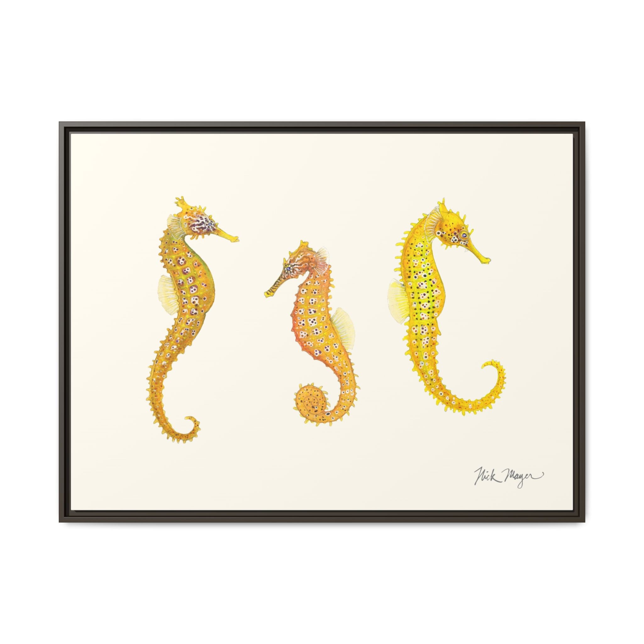 Giant Seahorse Trio Framed Canvas Print Printify