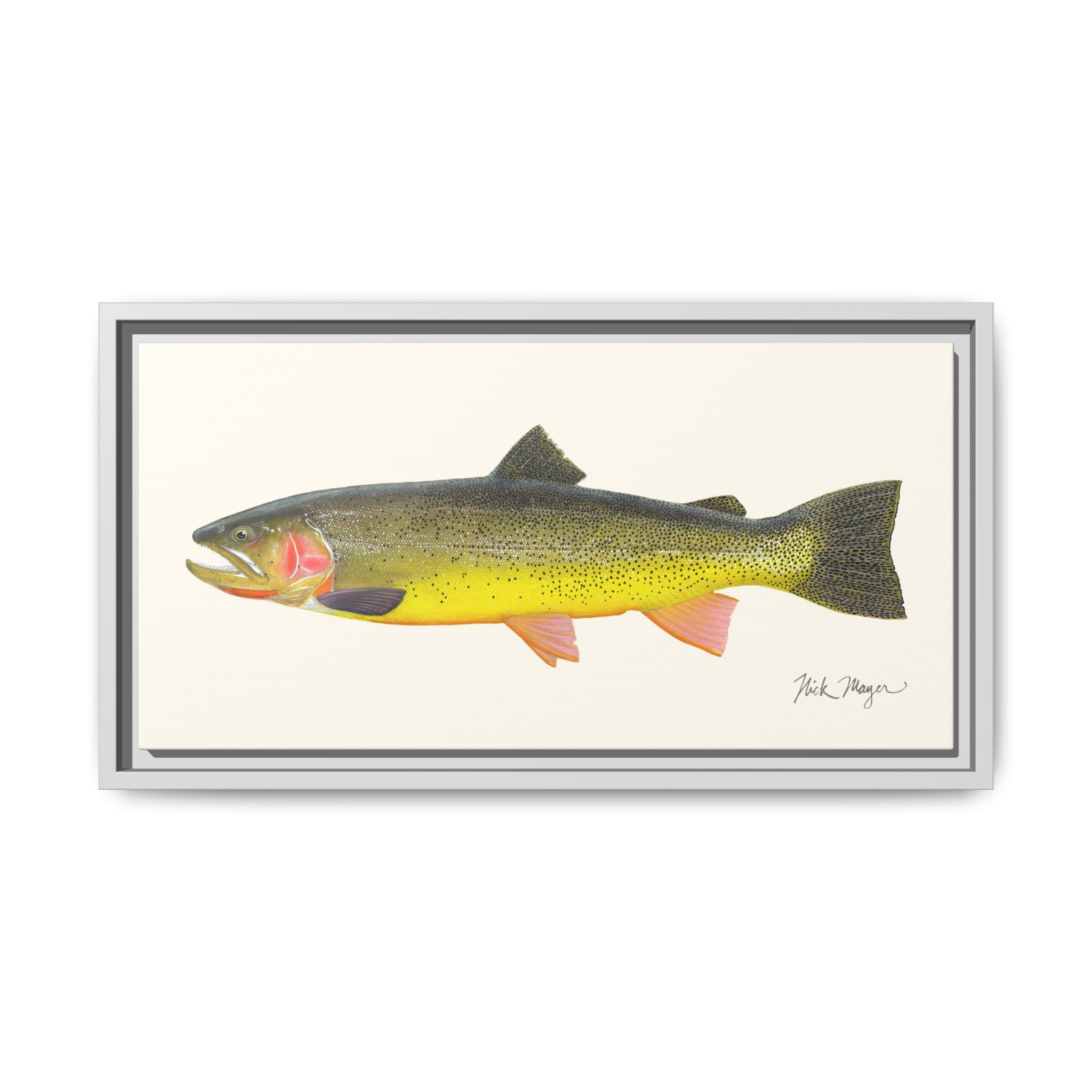 Cutthroat Trout III Framed Canvas Print Printify