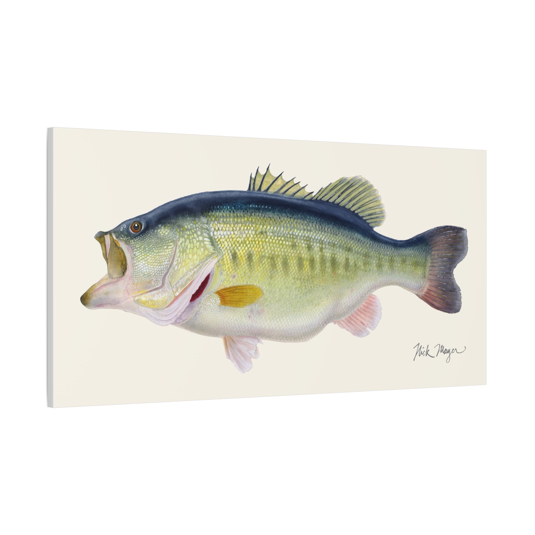 Largemouth Bass III Canvas Print Printify