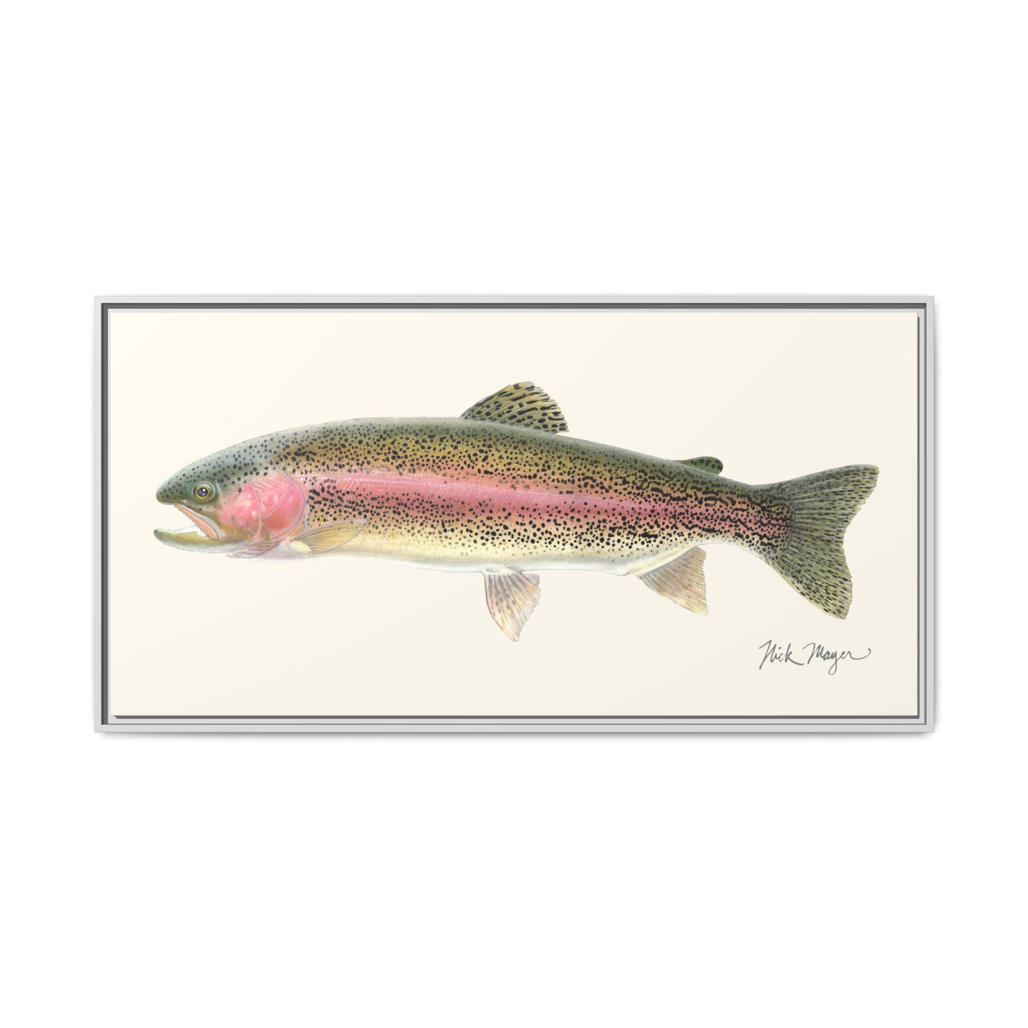 Rainbow Trout Framed Canvas Print Printify