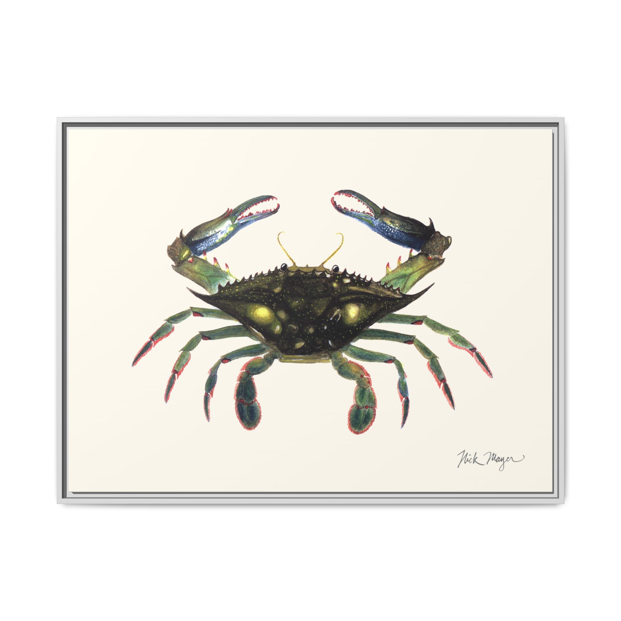Blue Crab, Claws in Framed Canvas Print Printify