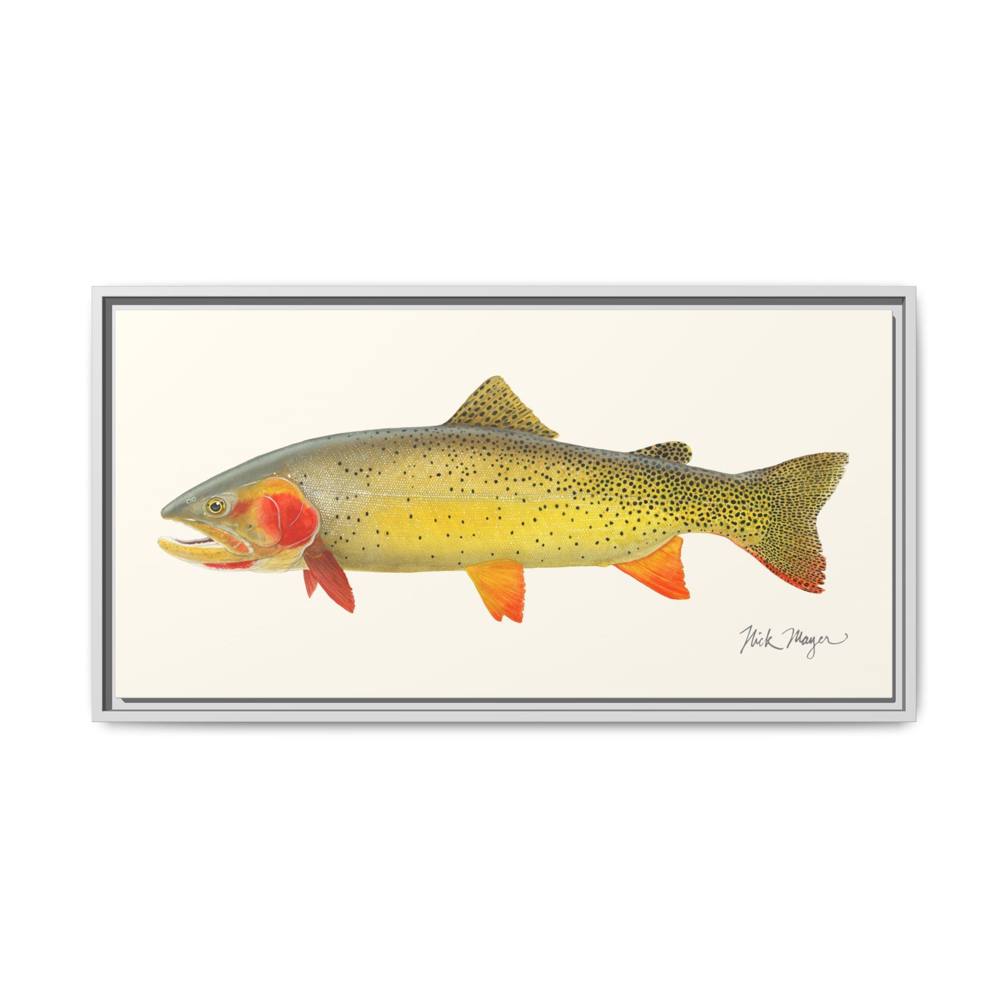 Cutthroat Trout I Framed Canvas Print Printify