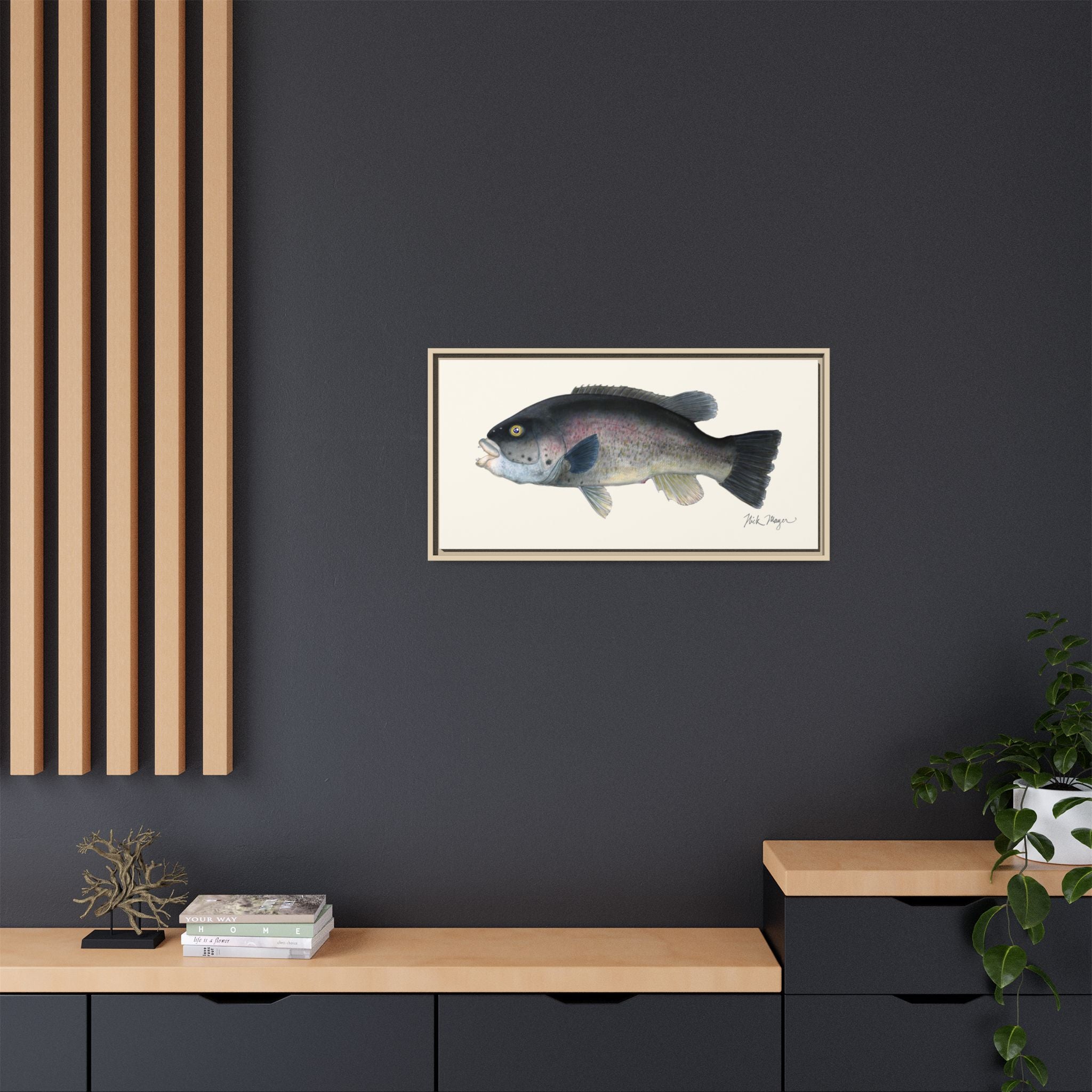 Tautog / Blackfish Framed Canvas Print Printify