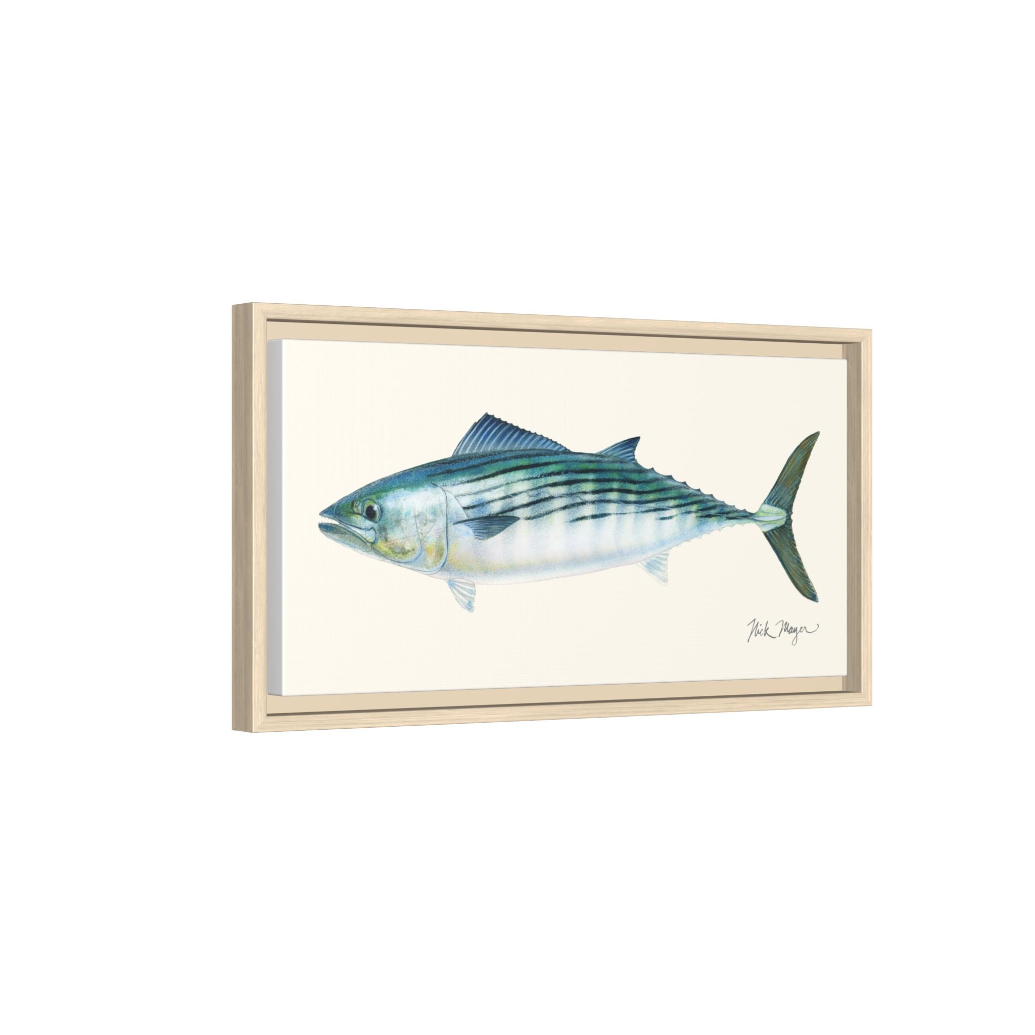 Bonito Framed Canvas Print Printify