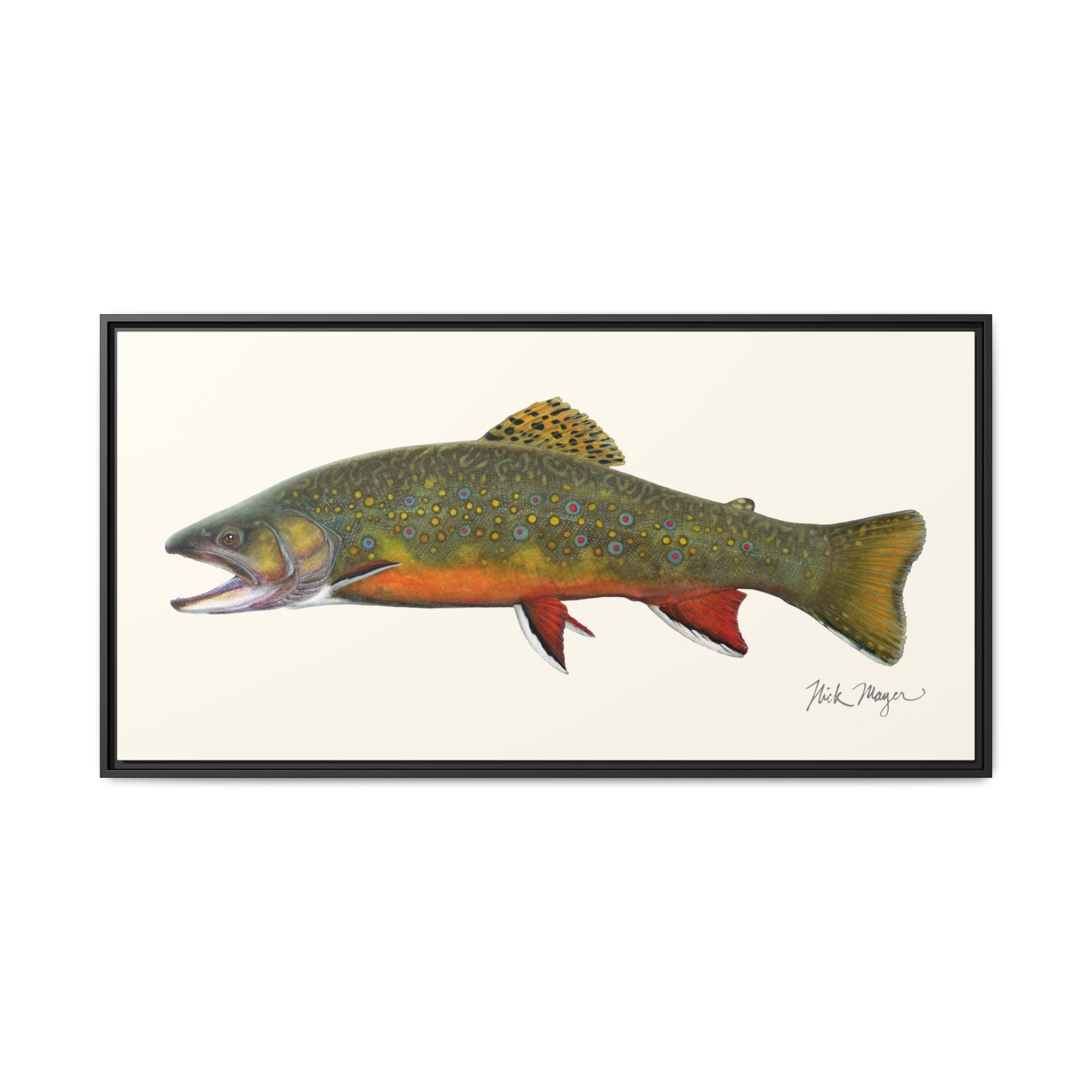 Beaver Pond Brook Trout Framed Canvas Print Printify