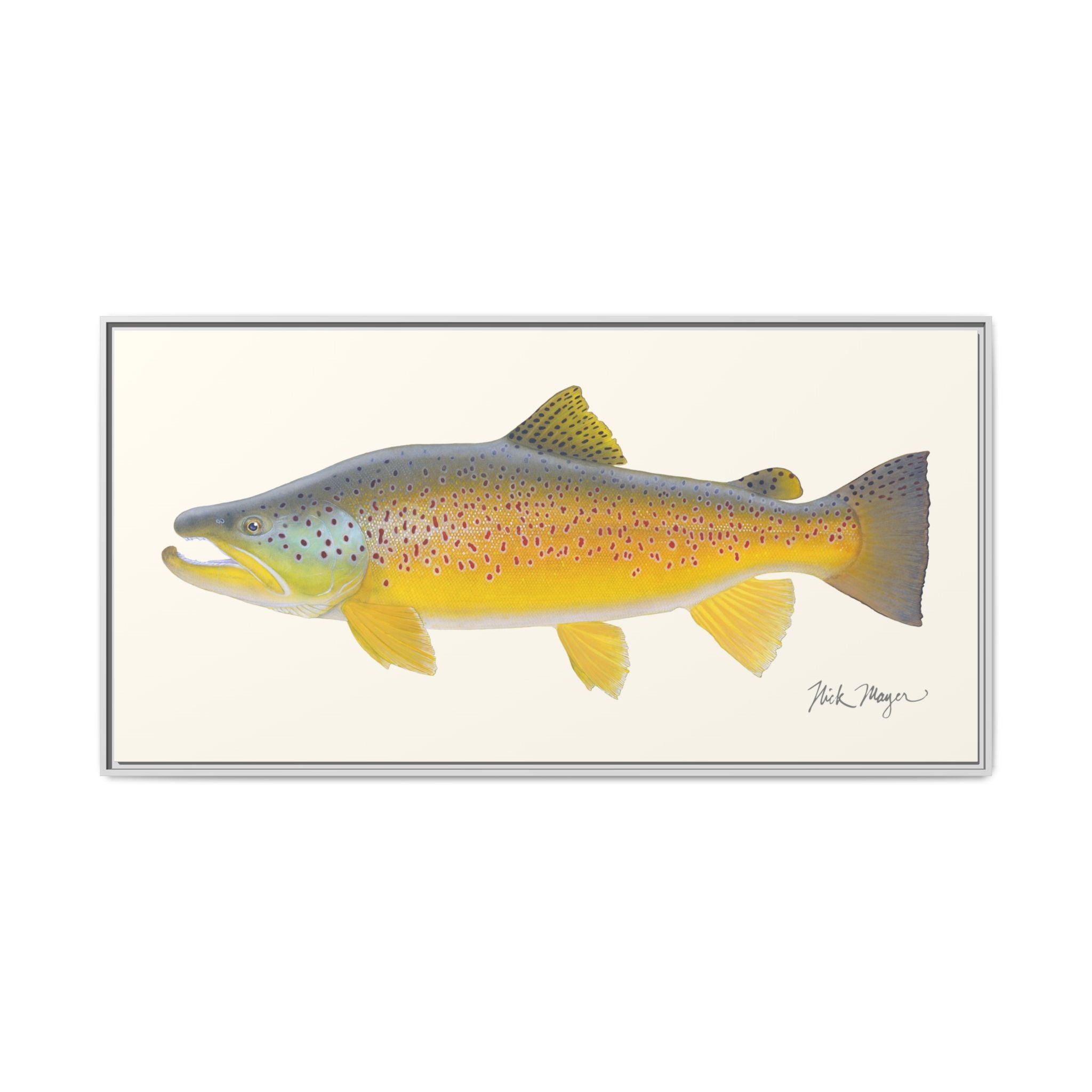 Brown Trout III Framed Canvas Print Printify