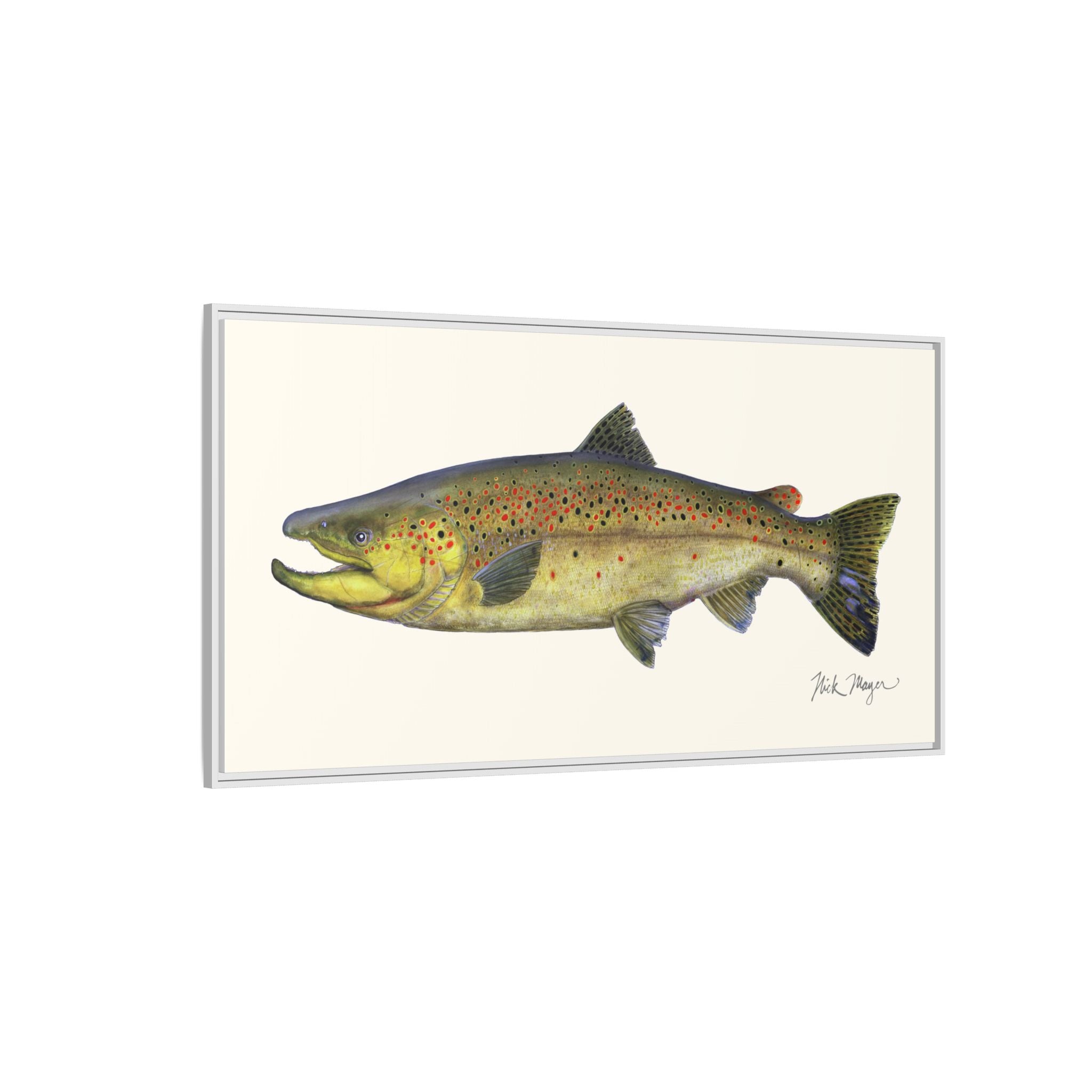 Brown Trout I Framed Canvas Print Printify