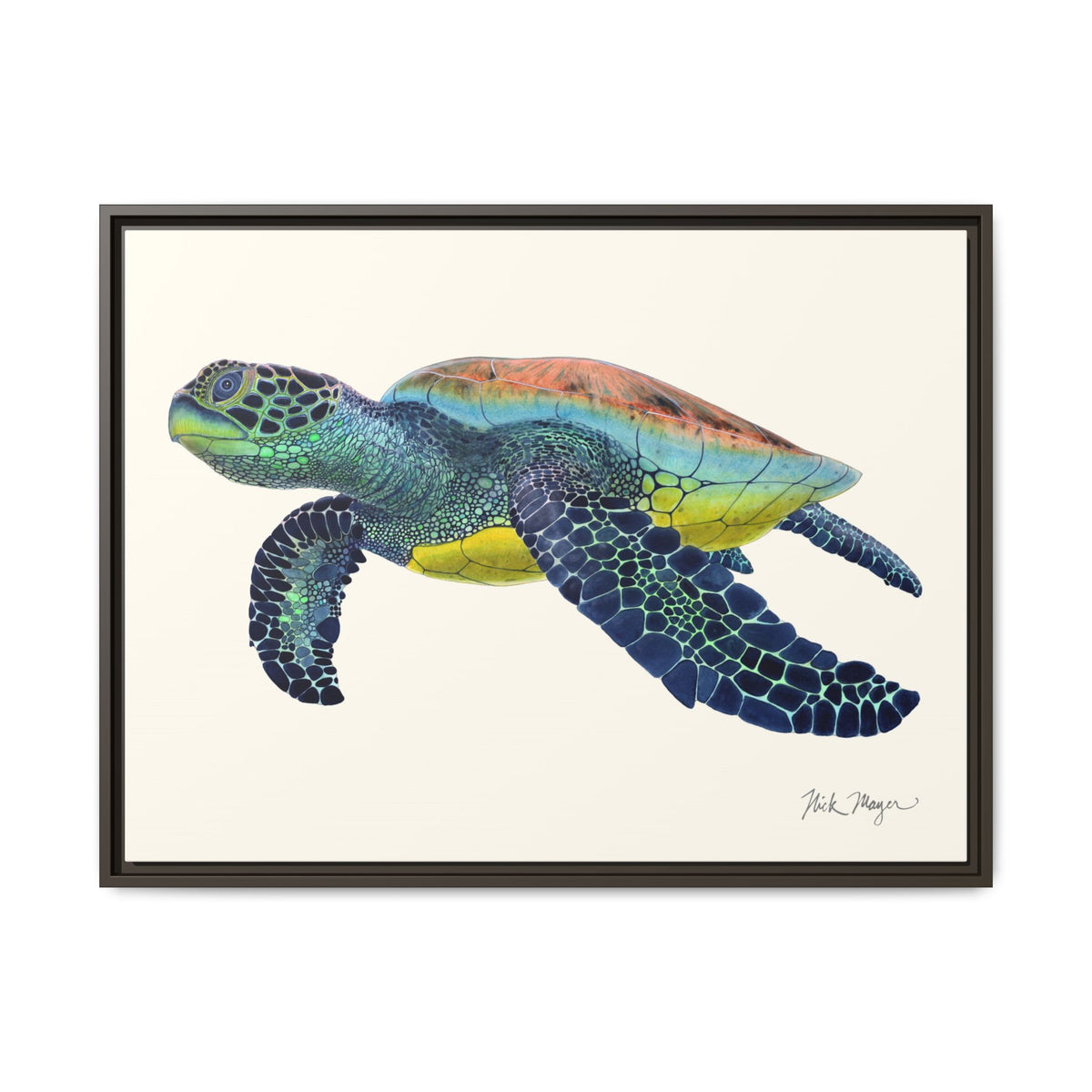 Green Sea Turtle II Framed Canvas Print Printify