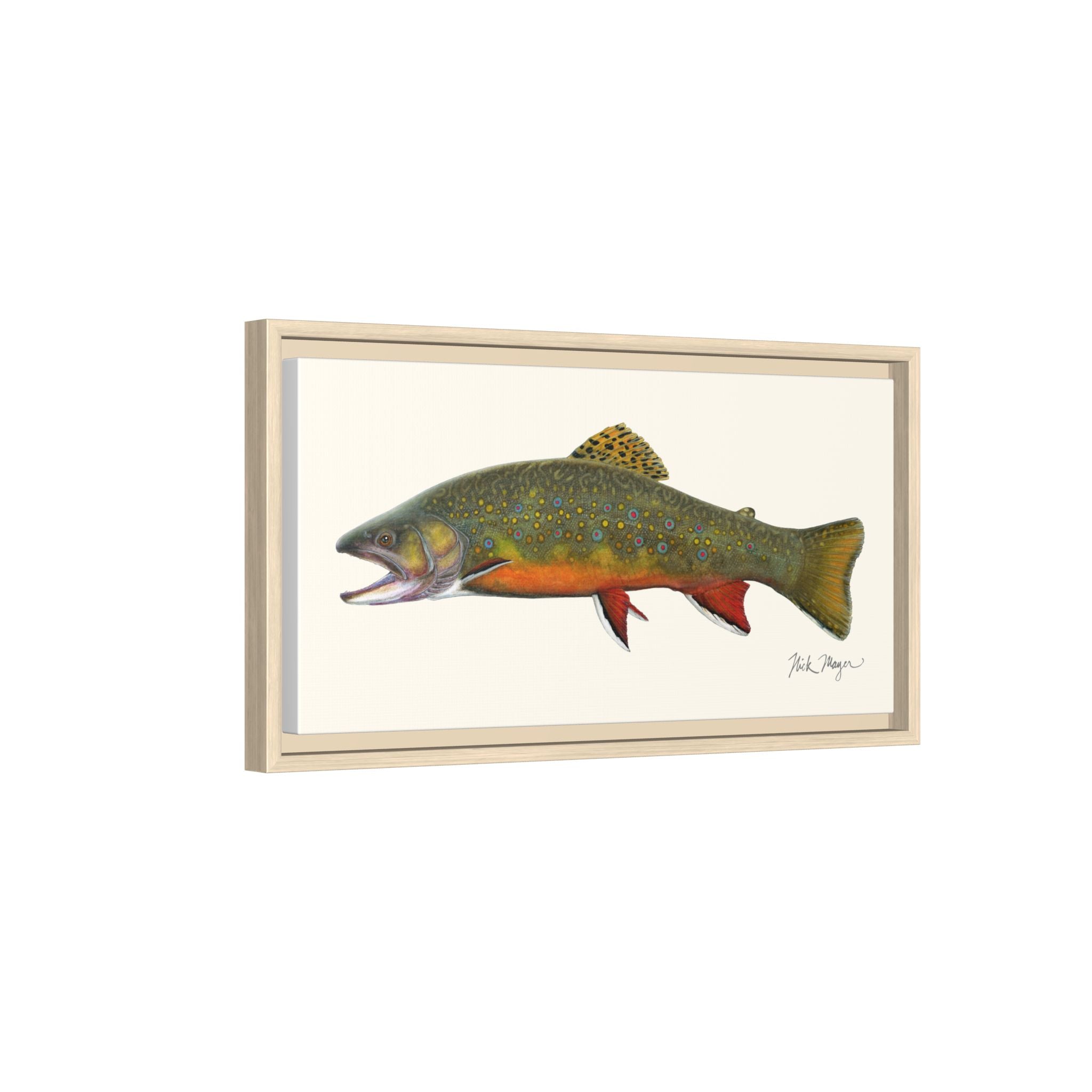 Beaver Pond Brook Trout Framed Canvas Print Printify