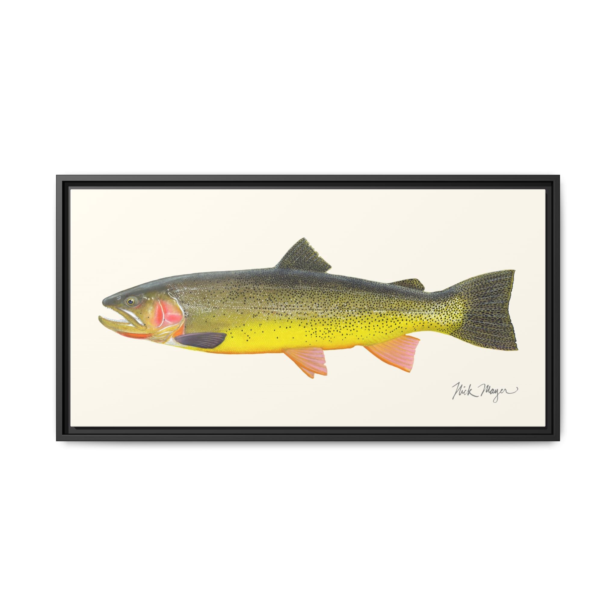 Cutthroat Trout III Framed Canvas Print Printify