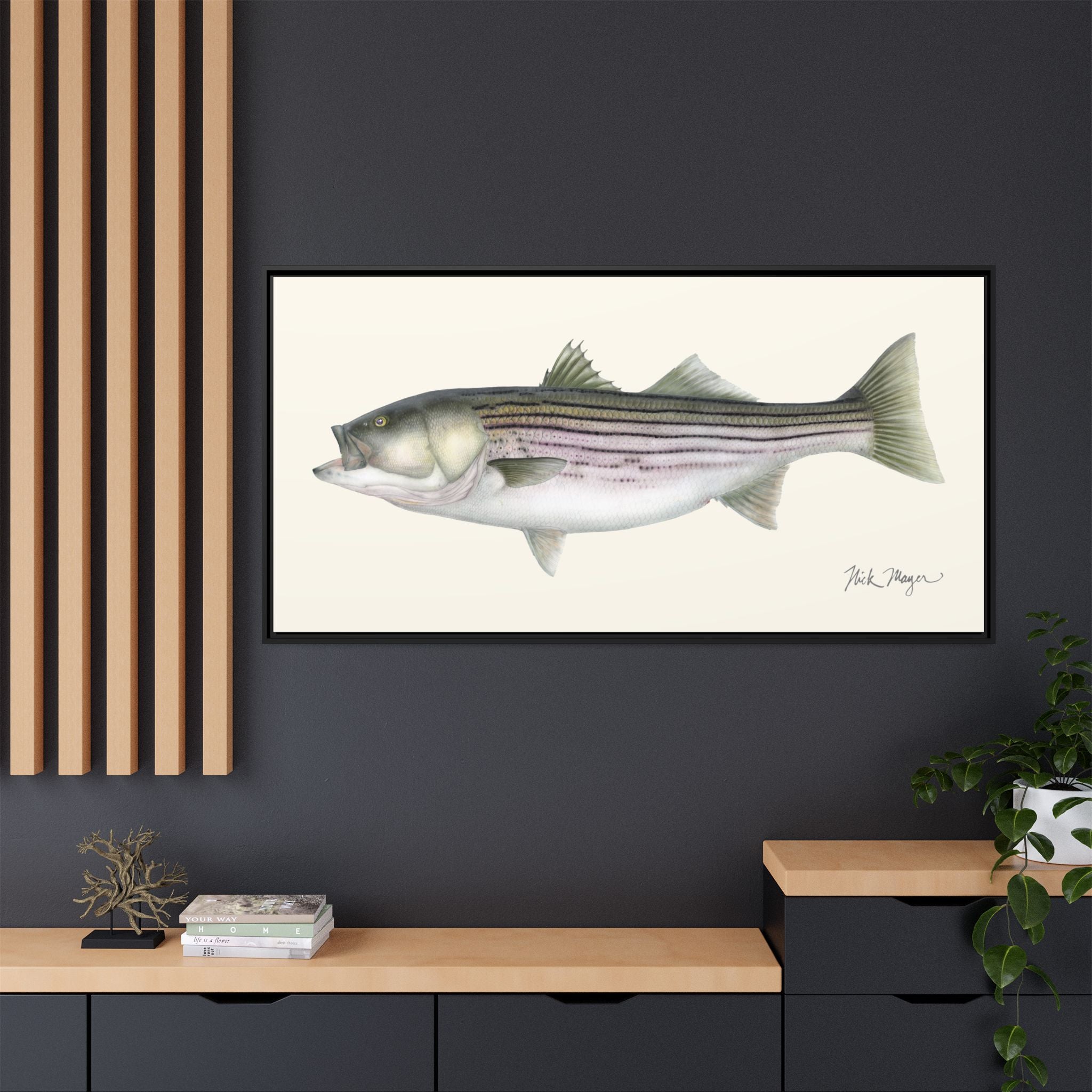 Striped Bass, 30 lbs Framed Canvas Print Printify