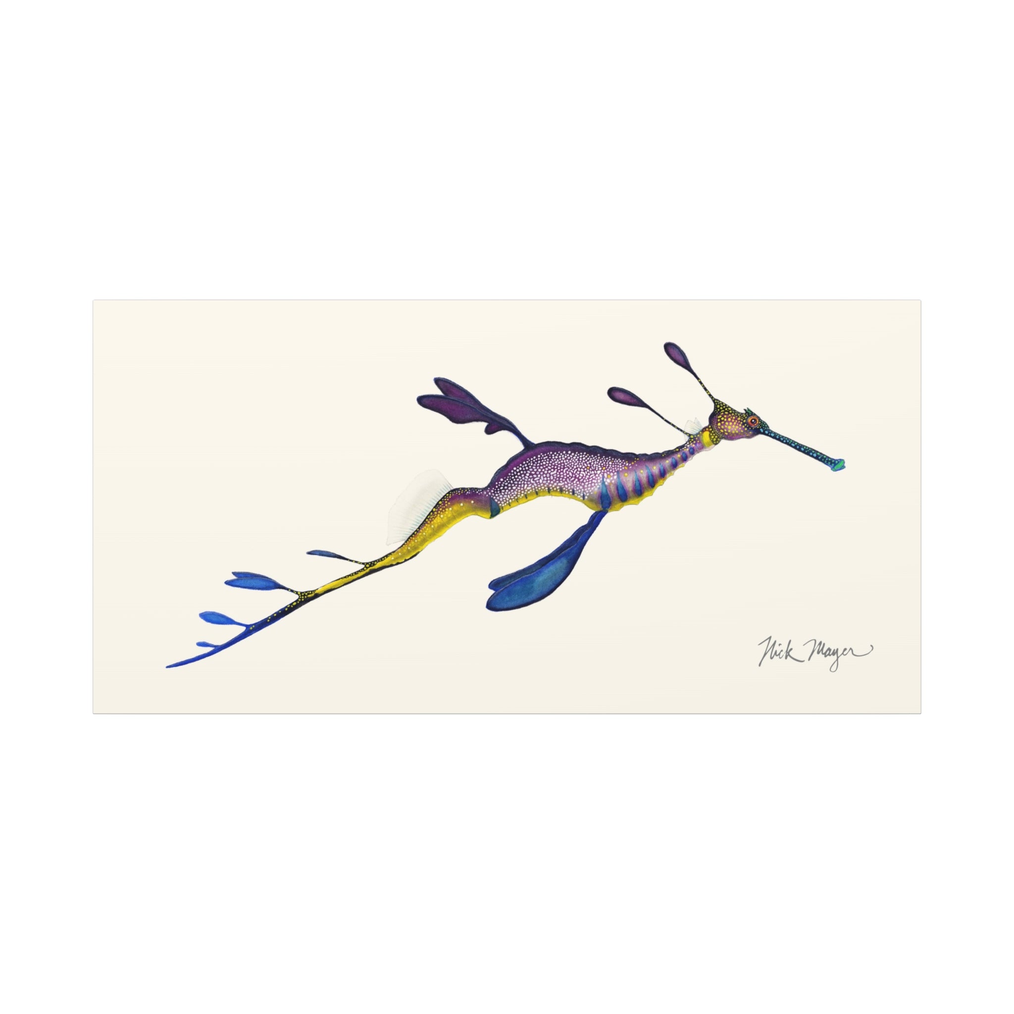 Weedy Sea Dragon Canvas Print