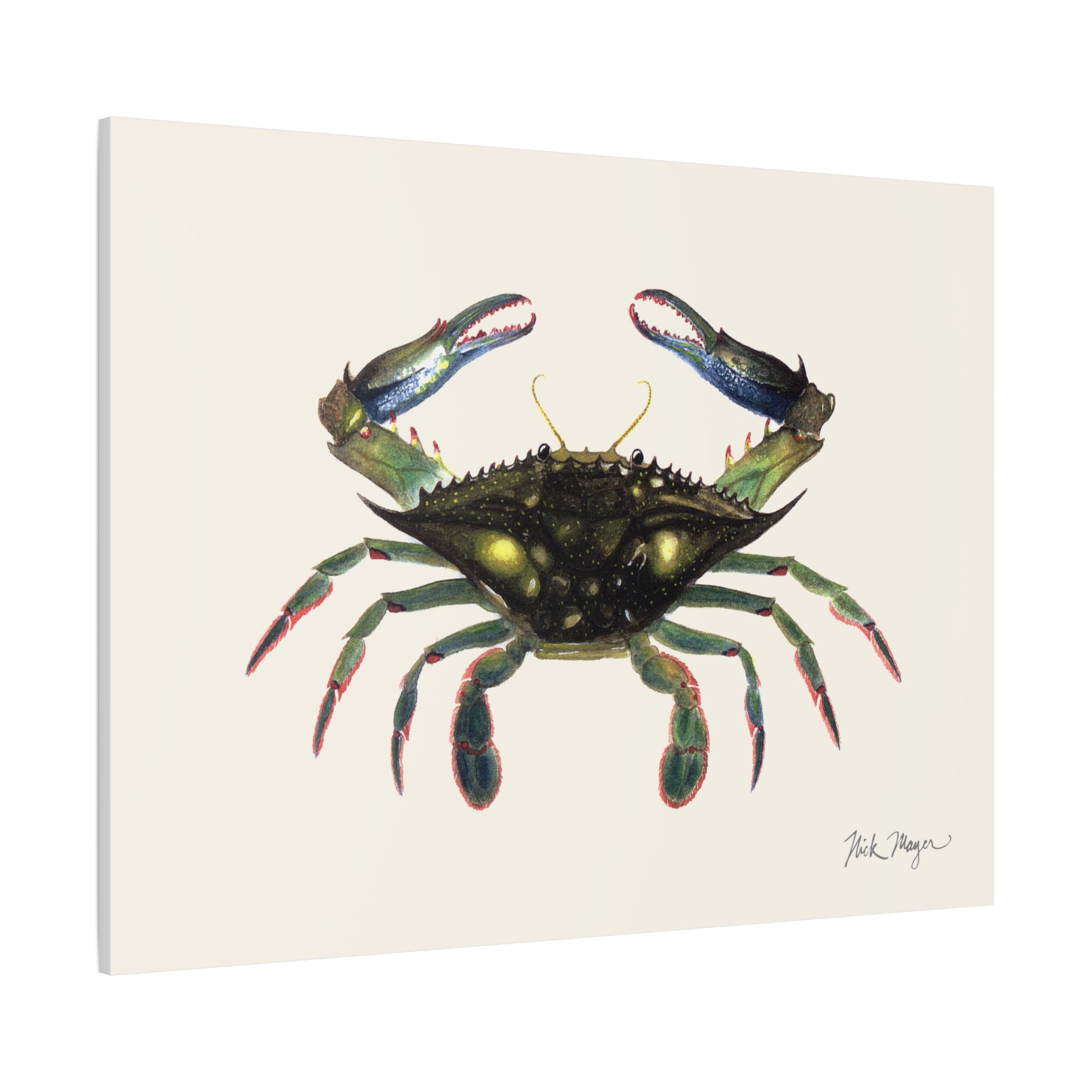 Blue Crab Claws In Canvas Print