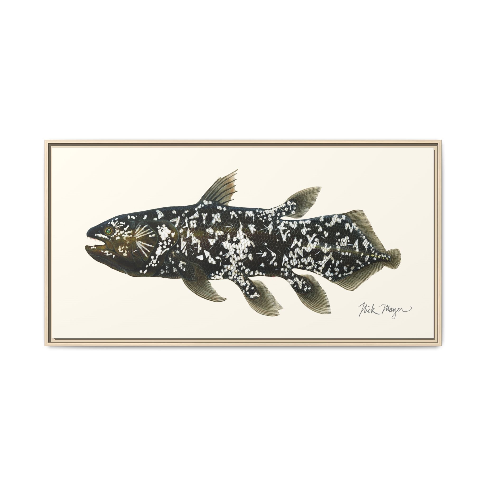 Coelacanth Framed Canvas Print Printify