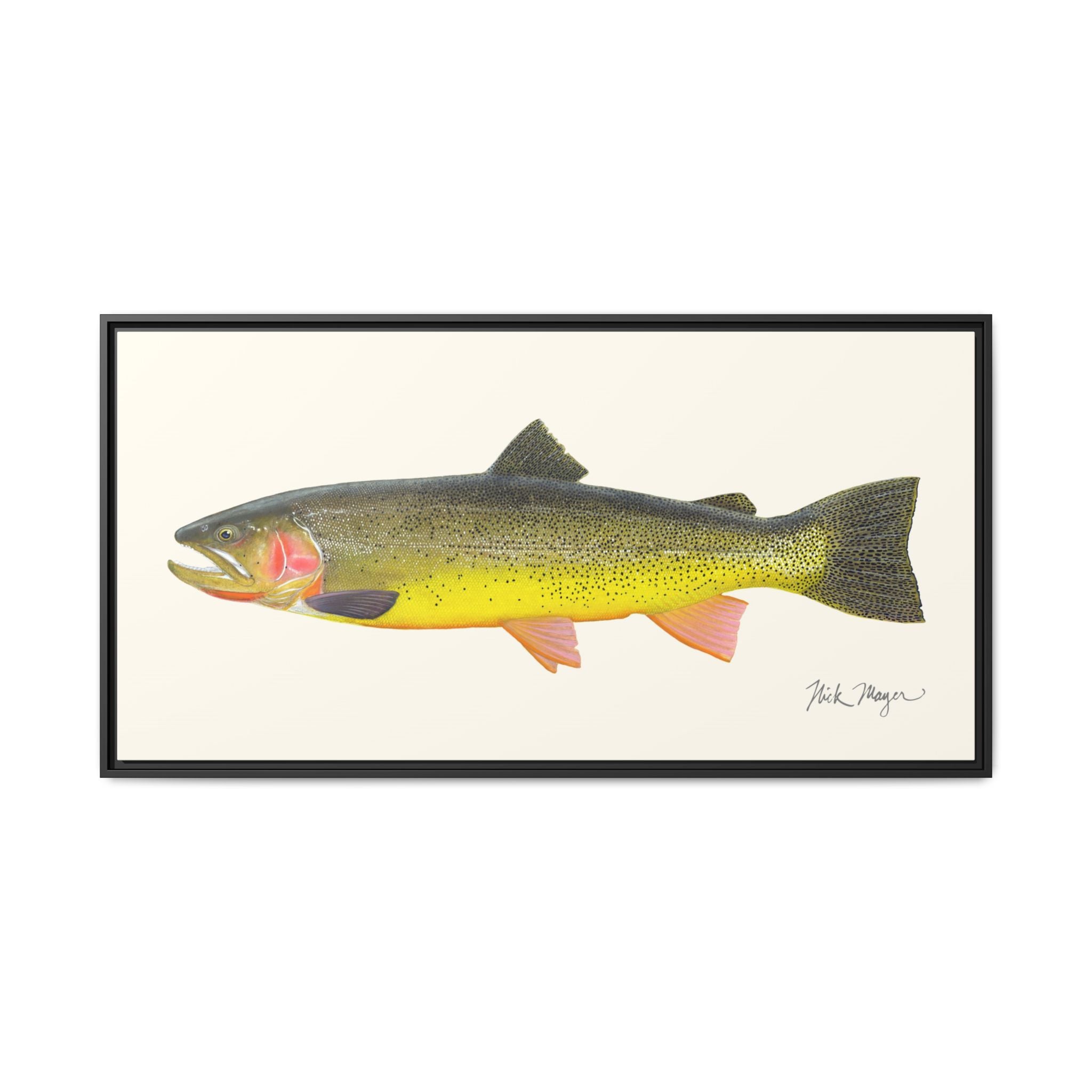 Cutthroat Trout III Framed Canvas Print Printify